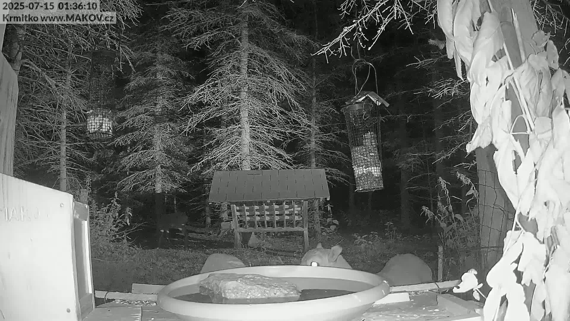 Pisek, Makov Animal Rescue Station Live Cam - Cizova, Pisek, Juhočeský Kraj (South Bohemian), Czechia