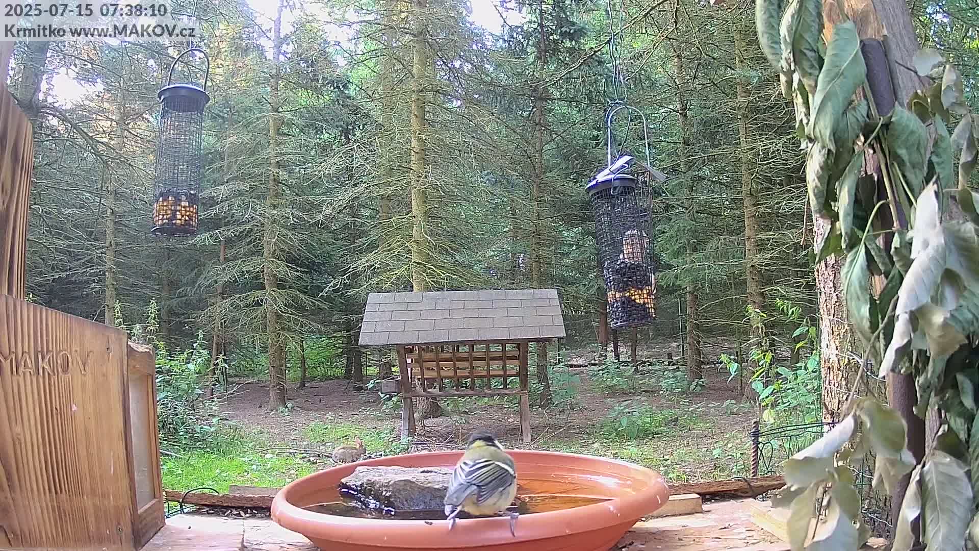 Pisek, Makov Animal Rescue Station Live Cam - Cizova, Pisek, Juhočeský Kraj (South Bohemian), Czechia