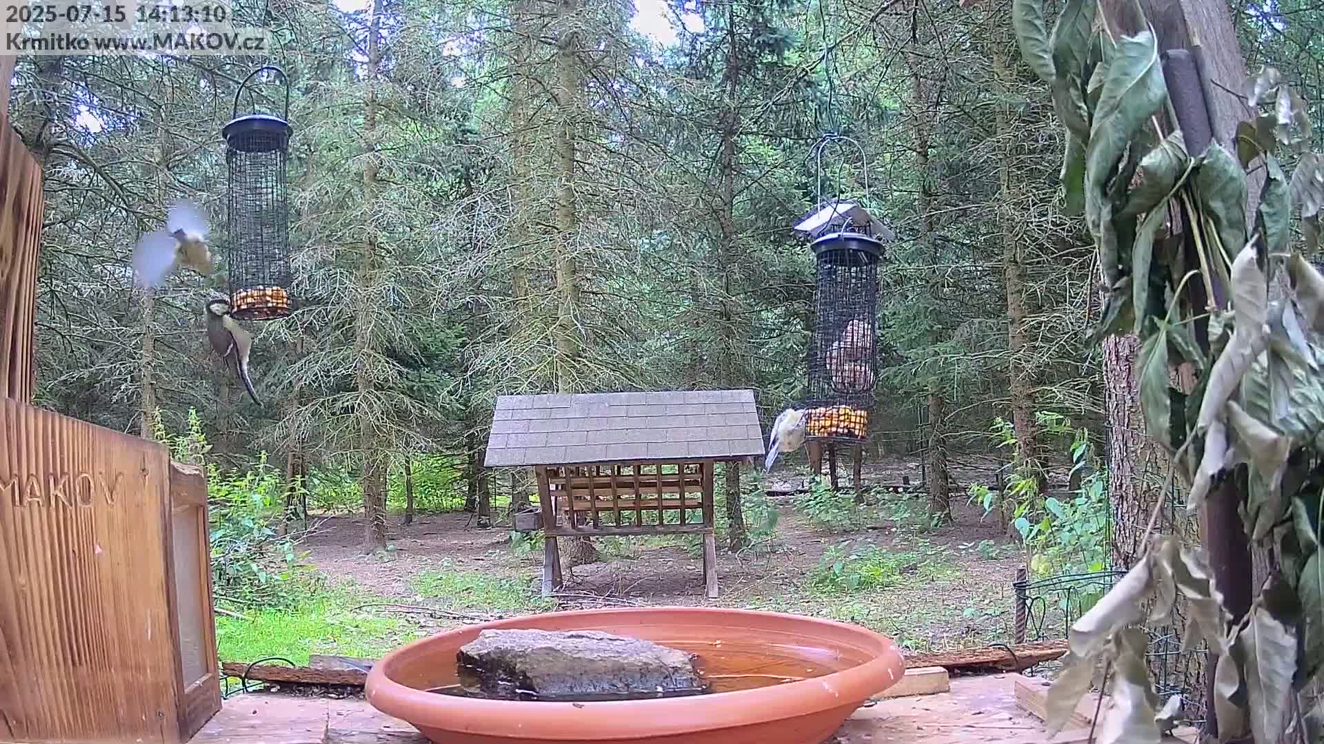 Pisek, Makov Animal Rescue Station Live Cam - Cizova, Pisek, Juhočeský Kraj (South Bohemian), Czechia
