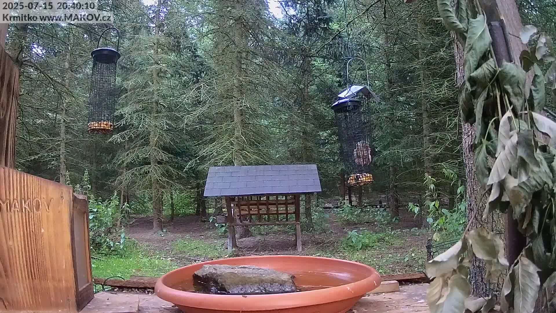 Pisek, Makov Animal Rescue Station Live Cam - Cizova, Pisek, Juhočeský Kraj (South Bohemian), Czechia