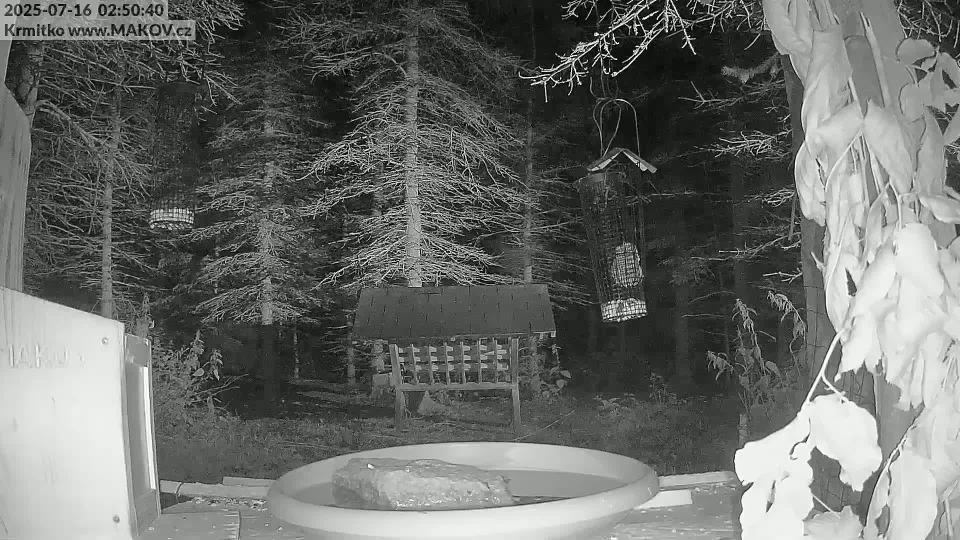 Pisek, Makov Animal Rescue Station Live Cam - Cizova, Pisek, Juhočeský Kraj (South Bohemian), Czechia