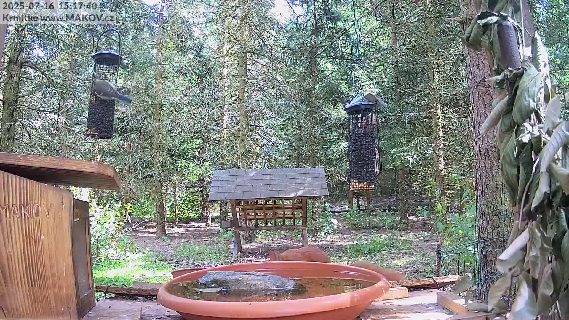 Pisek, Makov Animal Rescue Station Live Cam - Cizova, Pisek, Juhočeský Kraj (South Bohemian), Czechia