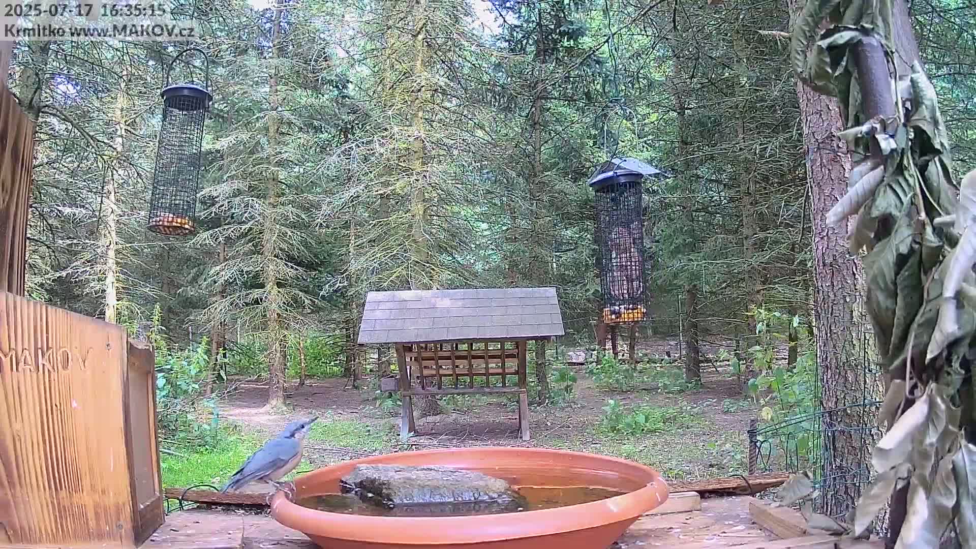 Pisek, Makov Animal Rescue Station Live Cam - Cizova, Pisek, Juhočeský Kraj (South Bohemian), Czechia