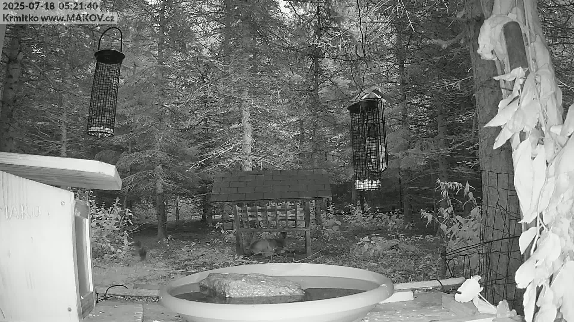 Pisek, Makov Animal Rescue Station Live Cam - Cizova, Pisek, Juhočeský Kraj (South Bohemian), Czechia