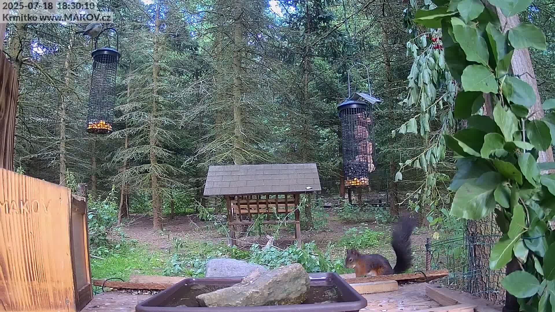 Pisek, Makov Animal Rescue Station Live Cam - Cizova, Pisek, Juhočeský Kraj (South Bohemian), Czechia