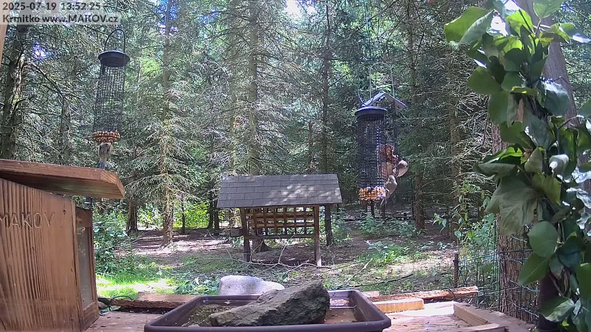 Pisek, Makov Animal Rescue Station Live Cam - Cizova, Pisek, Juhočeský Kraj (South Bohemian), Czechia