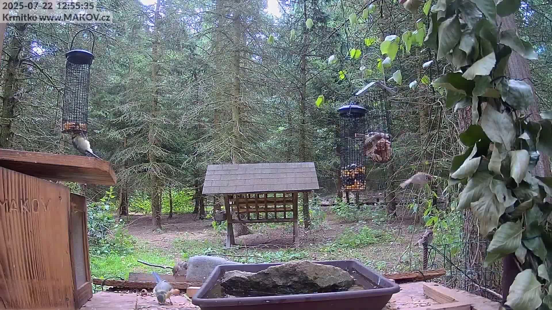 Pisek, Makov Animal Rescue Station Live Cam - Cizova, Pisek, Juhočeský Kraj (South Bohemian), Czechia