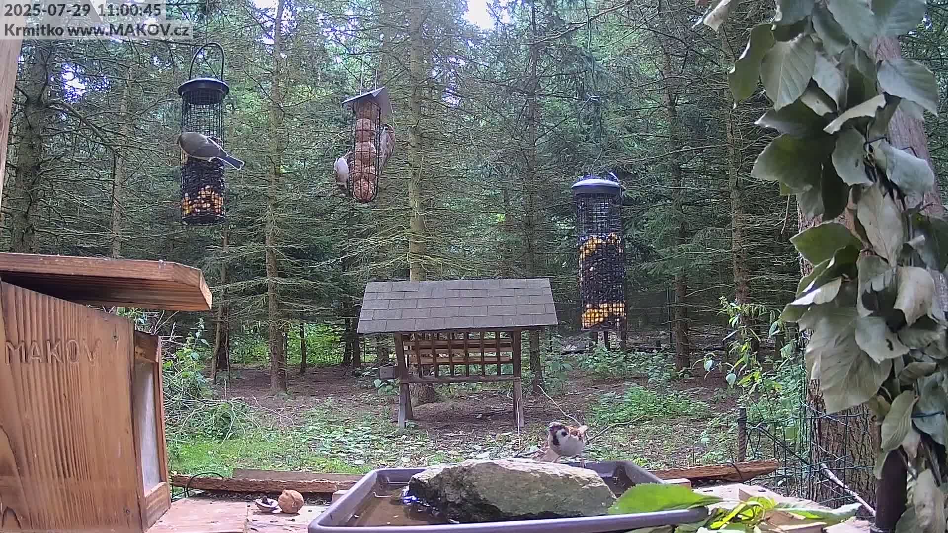 Pisek, Makov Animal Rescue Station Live Cam - Cizova, Pisek, Juhočeský Kraj (South Bohemian), Czechia