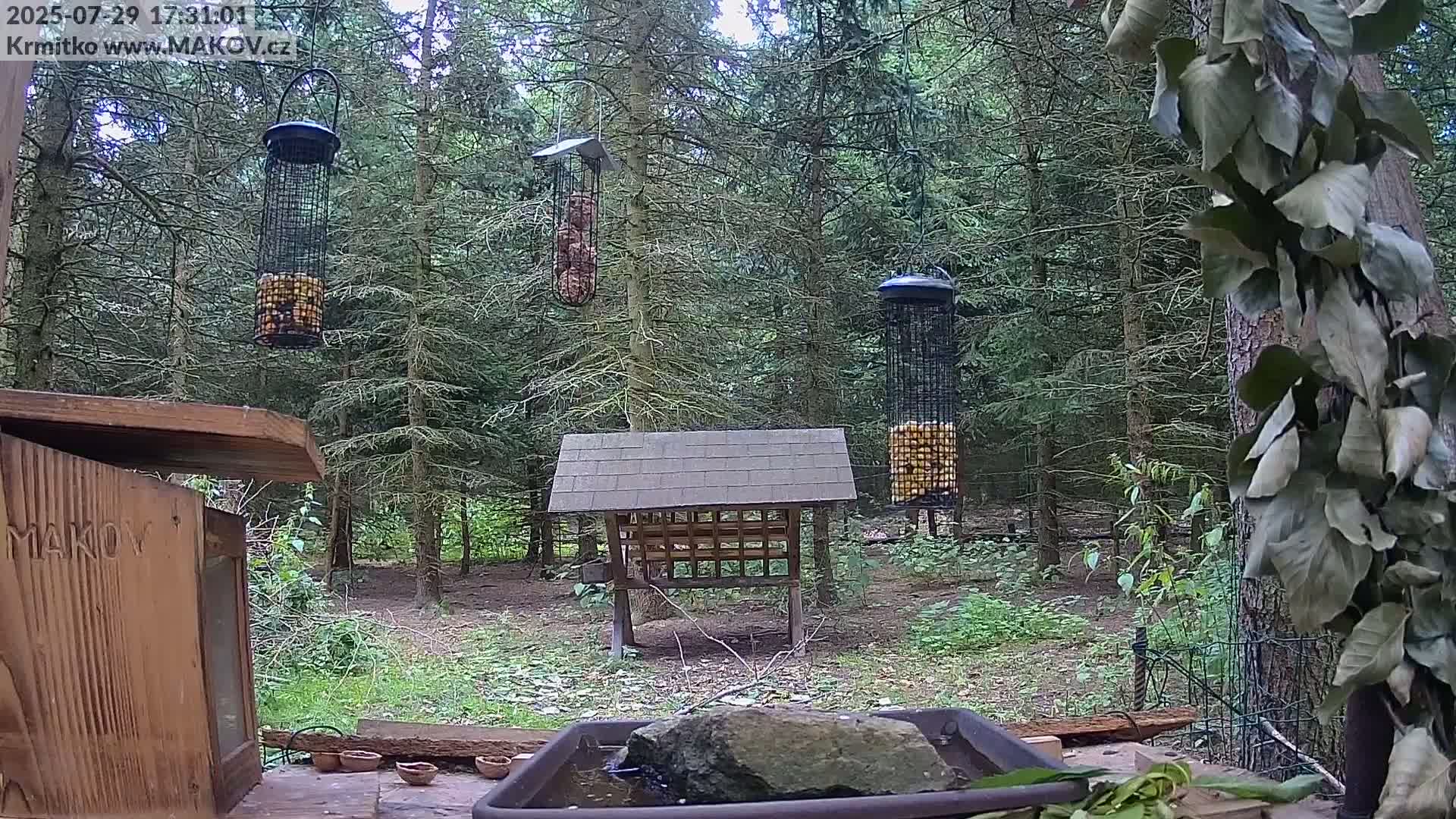 Pisek, Makov Animal Rescue Station Live Cam - Cizova, Pisek, Juhočeský Kraj (South Bohemian), Czechia