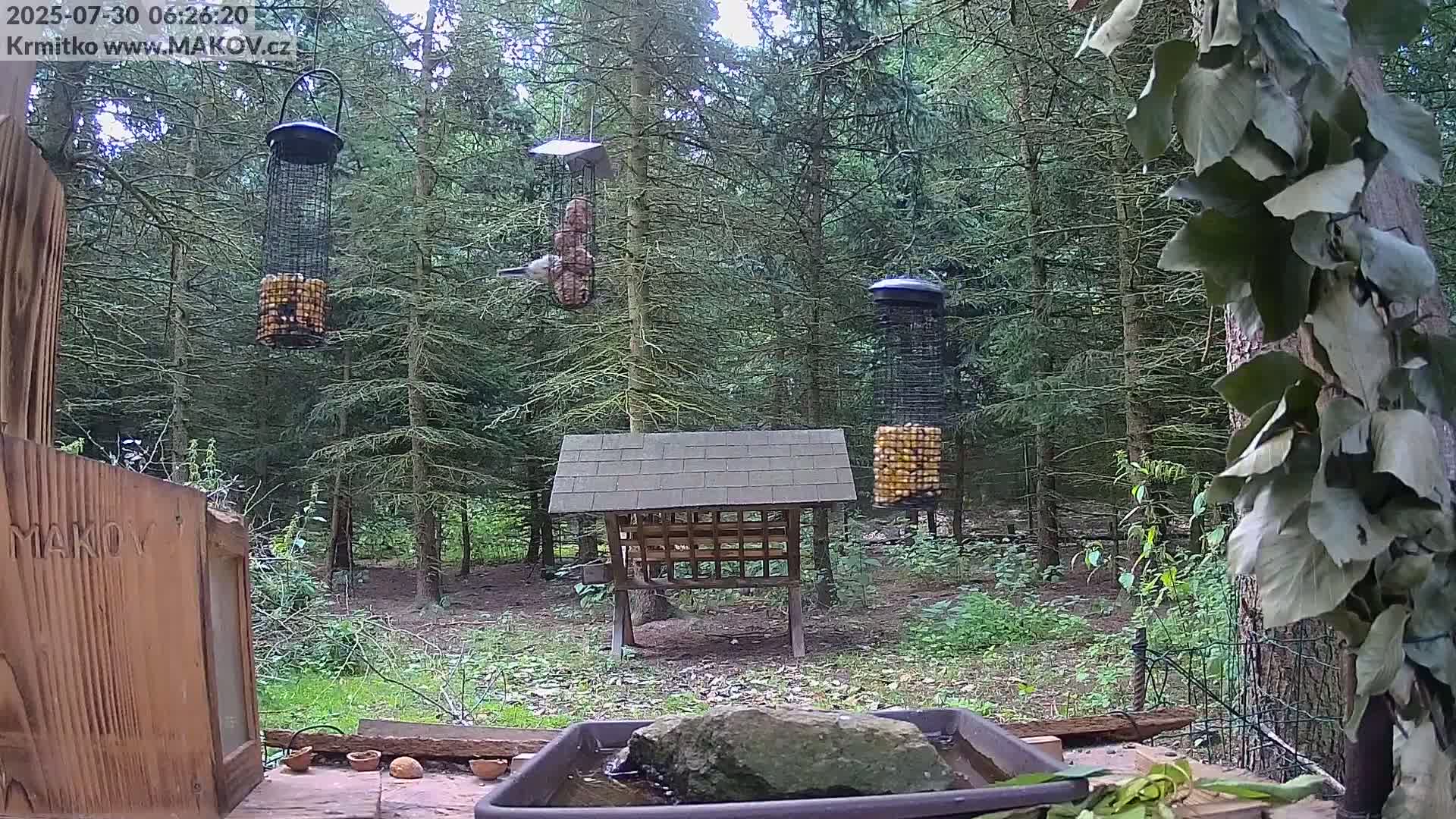 A sunny woodland scene shows two bird feeders, a small wooden shelter, a water bath, and several birds and rabbits near a feeding station.