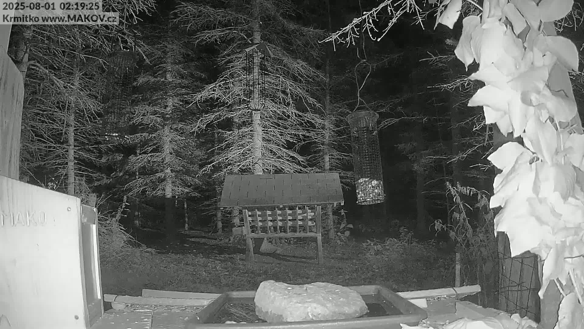 A nighttime, black-and-white image shows a bird feeder, a bird bath with a large rock in it, and several trees in a wooded area.