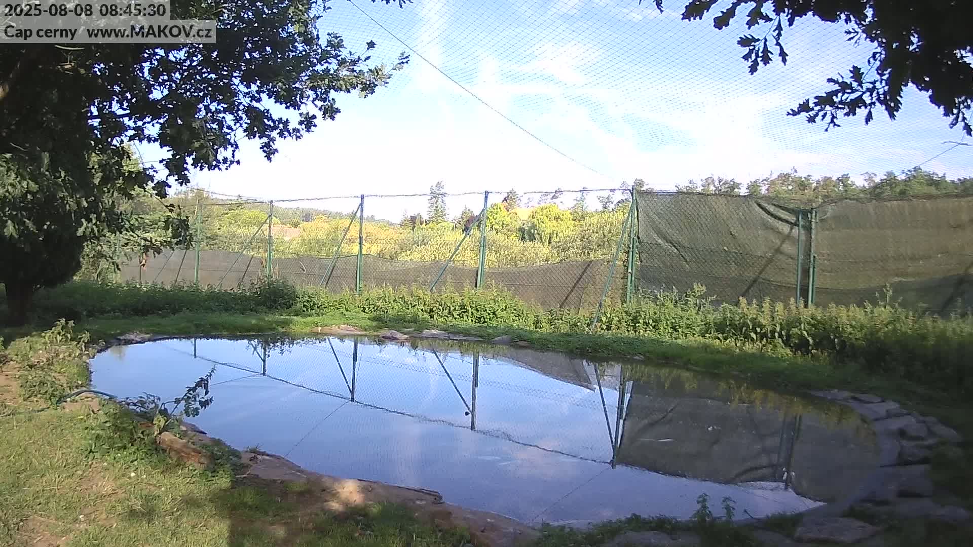 Pisek, Makov Animal Rescue Station Live Cam - Cizova, Pisek, Juhočeský Kraj (South Bohemian), Czechia