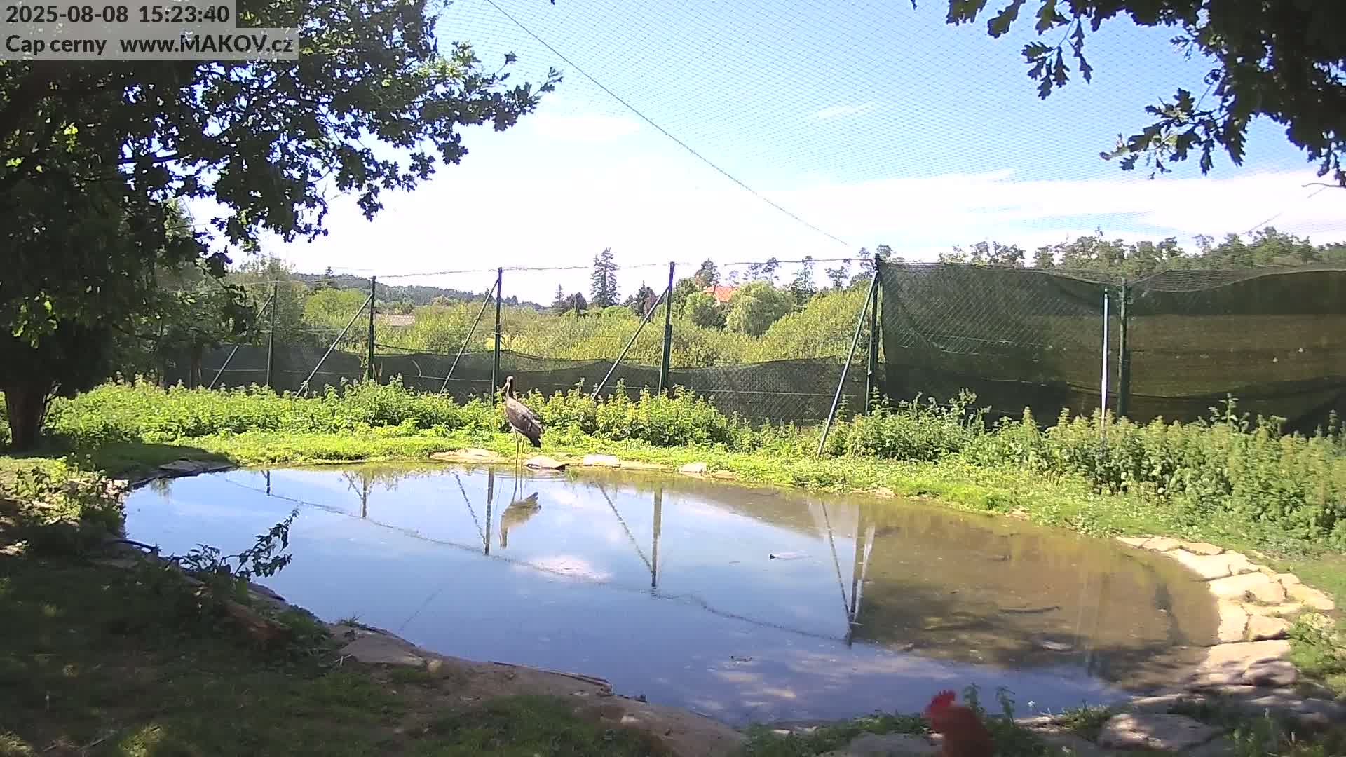 Pisek, Makov Animal Rescue Station Live Cam - Cizova, Pisek, Juhočeský Kraj (South Bohemian), Czechia