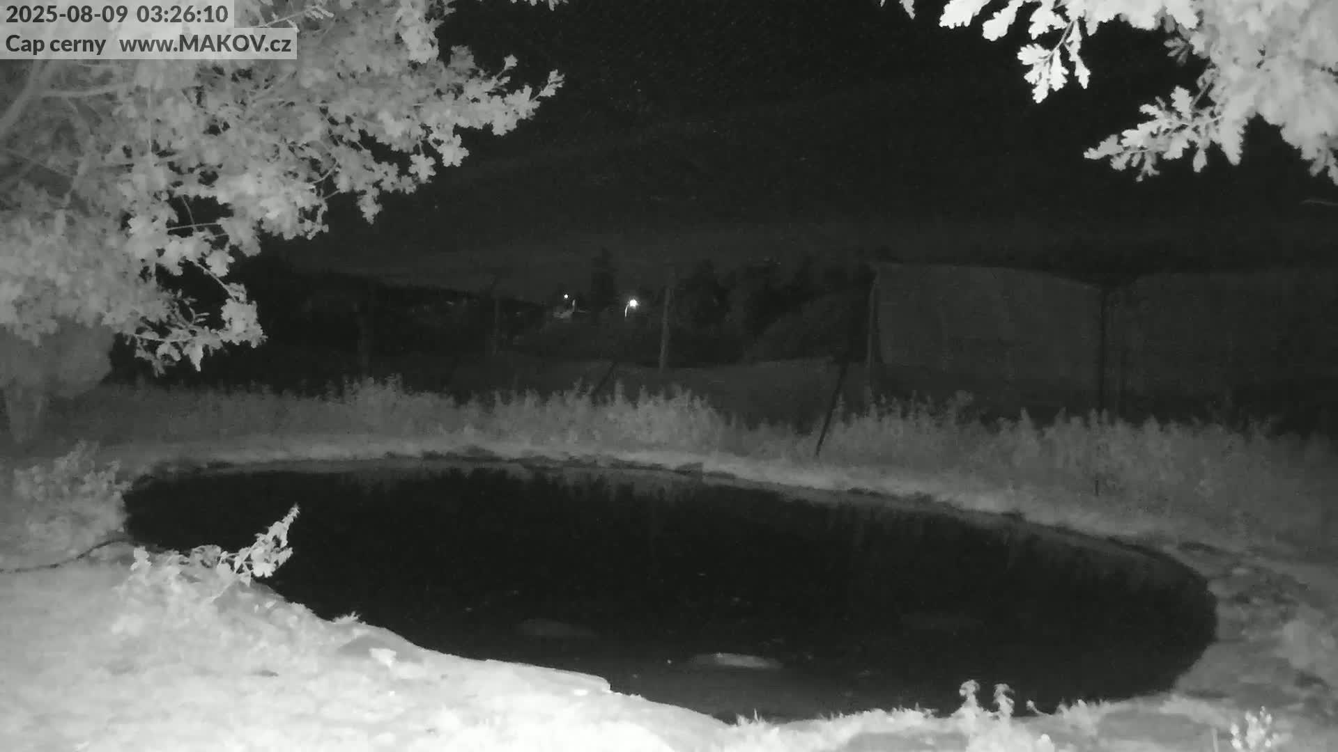 Pisek, Makov Animal Rescue Station Live Cam - Cizova, Pisek, Juhočeský Kraj (South Bohemian), Czechia
