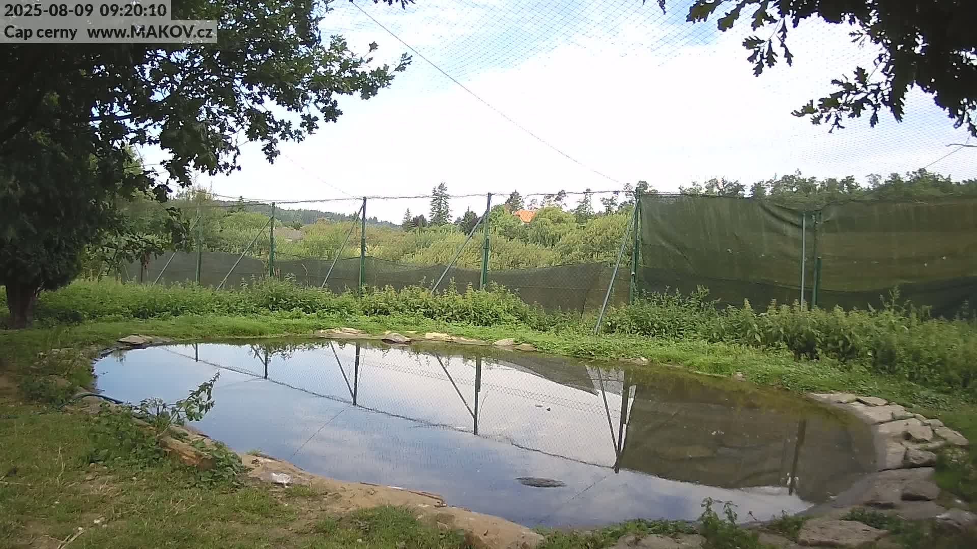 Pisek, Makov Animal Rescue Station Live Cam - Cizova, Pisek, Juhočeský Kraj (South Bohemian), Czechia