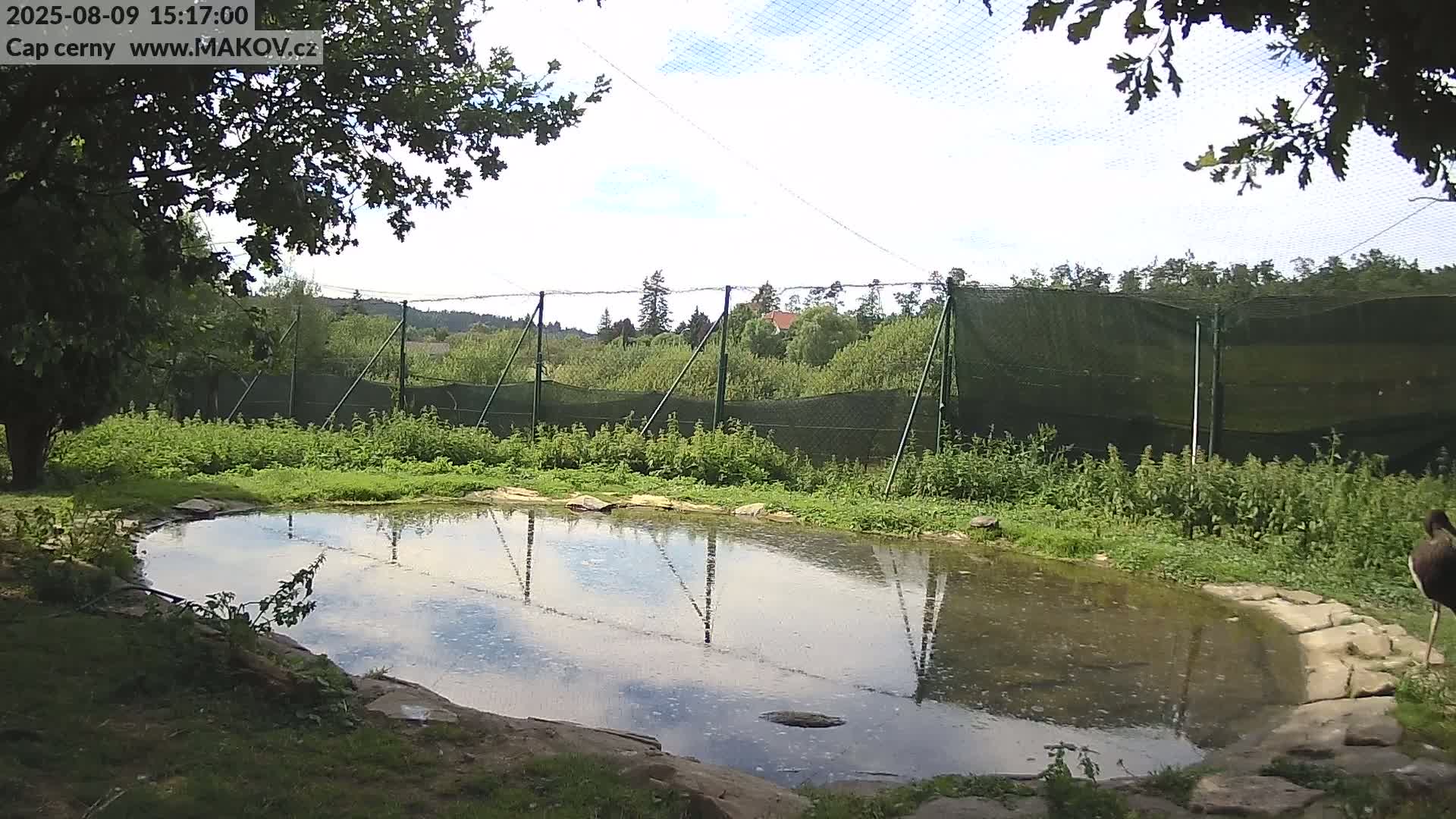 Pisek, Makov Animal Rescue Station Live Cam - Cizova, Pisek, Juhočeský Kraj (South Bohemian), Czechia