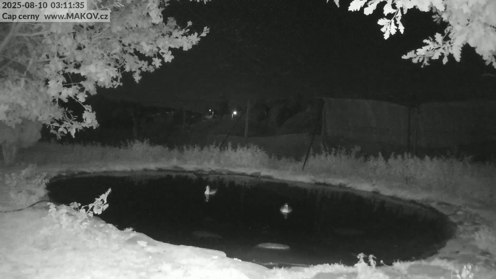 Pisek, Makov Animal Rescue Station Live Cam - Cizova, Pisek, Juhočeský Kraj (South Bohemian), Czechia