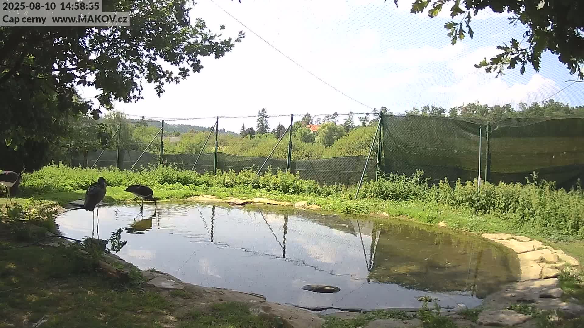 Pisek, Makov Animal Rescue Station Live Cam - Cizova, Pisek, Juhočeský Kraj (South Bohemian), Czechia
