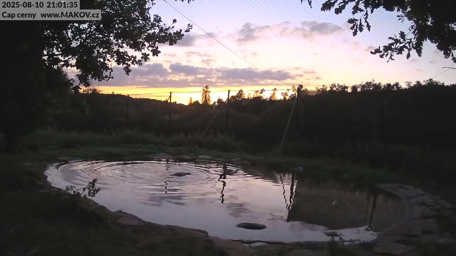 Pisek, Makov Animal Rescue Station Live Cam - Cizova, Pisek, Juhočeský Kraj (South Bohemian), Czechia