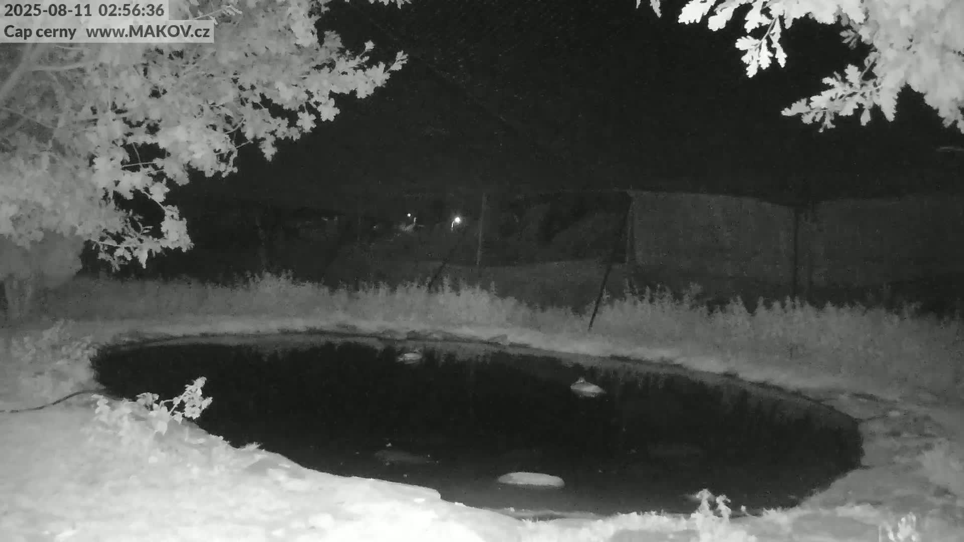 Pisek, Makov Animal Rescue Station Live Cam - Cizova, Pisek, Juhočeský Kraj (South Bohemian), Czechia
