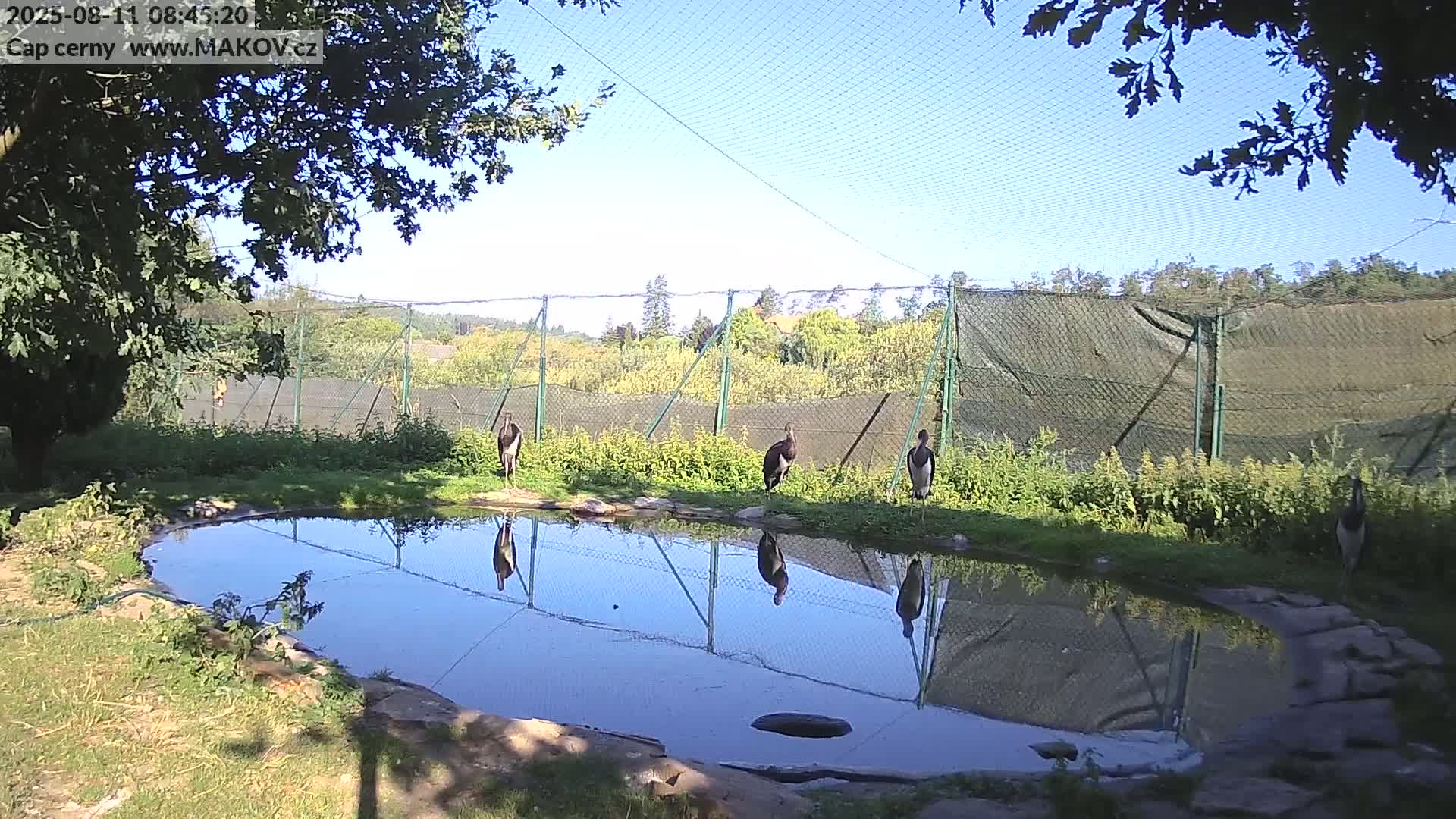 Pisek, Makov Animal Rescue Station Live Cam - Cizova, Pisek, Juhočeský Kraj (South Bohemian), Czechia