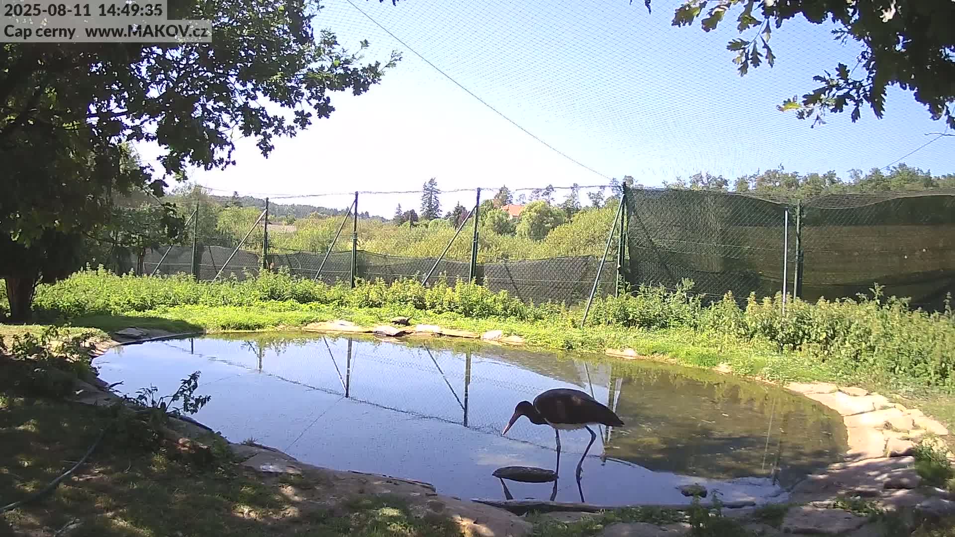 Pisek, Makov Animal Rescue Station Live Cam - Cizova, Pisek, Juhočeský Kraj (South Bohemian), Czechia