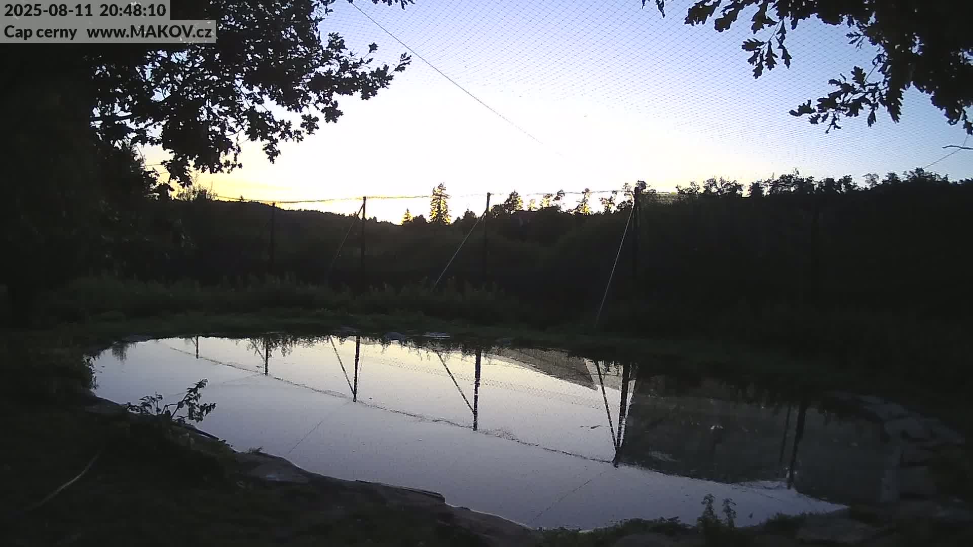 Pisek, Makov Animal Rescue Station Live Cam - Cizova, Pisek, Juhočeský Kraj (South Bohemian), Czechia