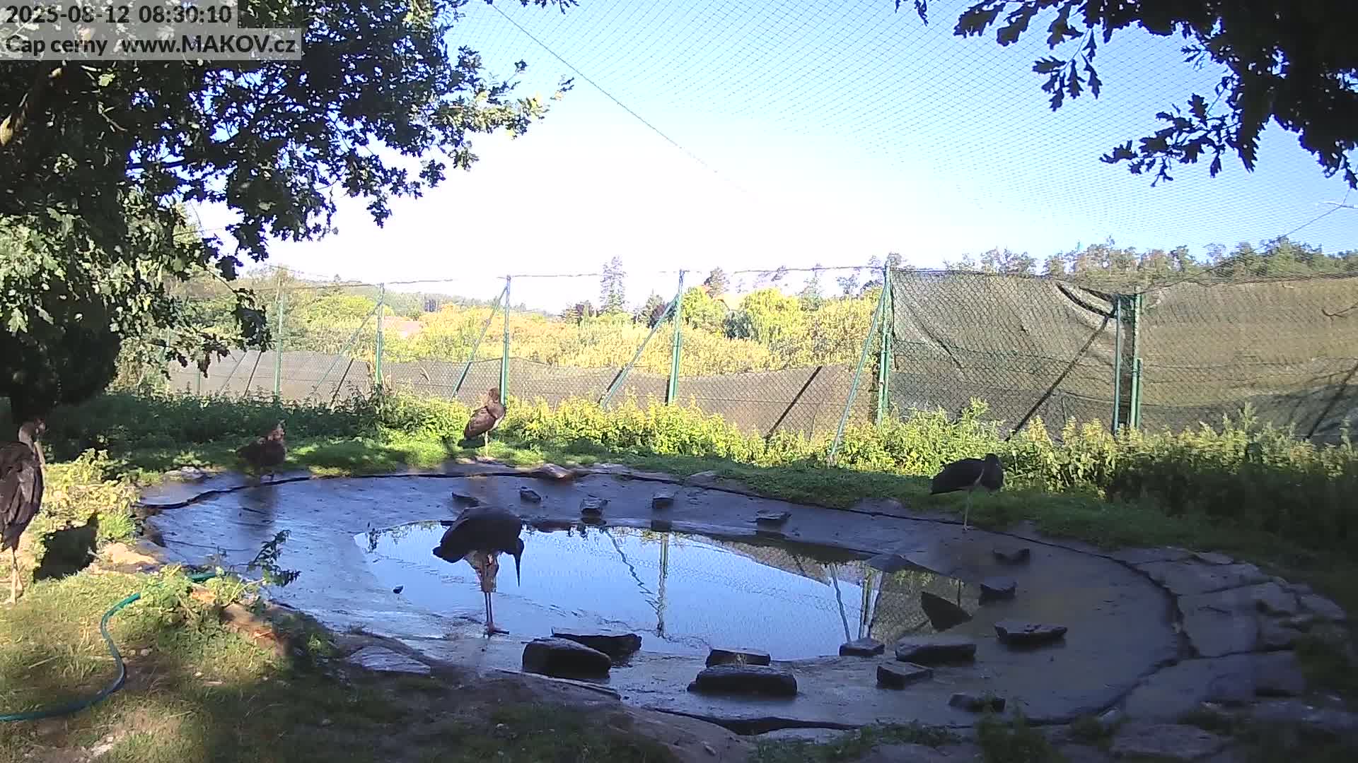 Pisek, Makov Animal Rescue Station Live Cam - Cizova, Pisek, Juhočeský Kraj (South Bohemian), Czechia