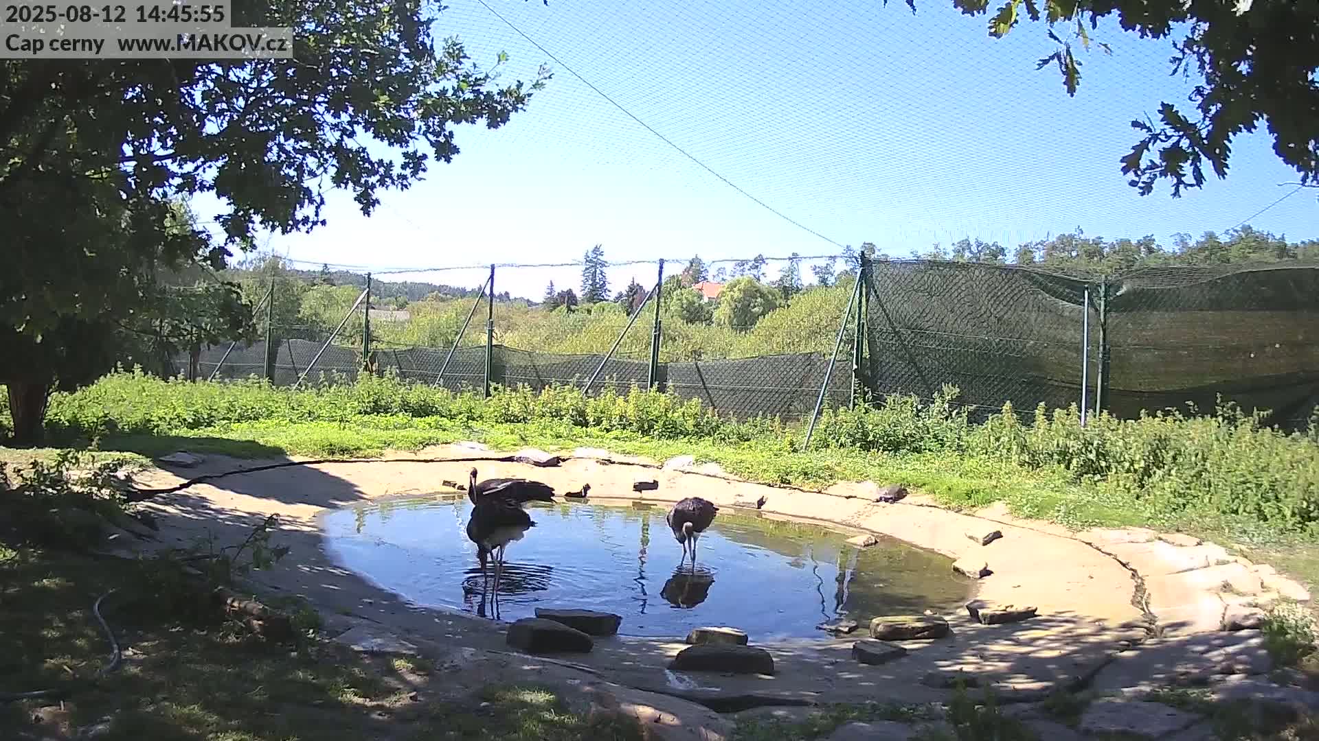 Pisek, Makov Animal Rescue Station Live Cam - Cizova, Pisek, Juhočeský Kraj (South Bohemian), Czechia