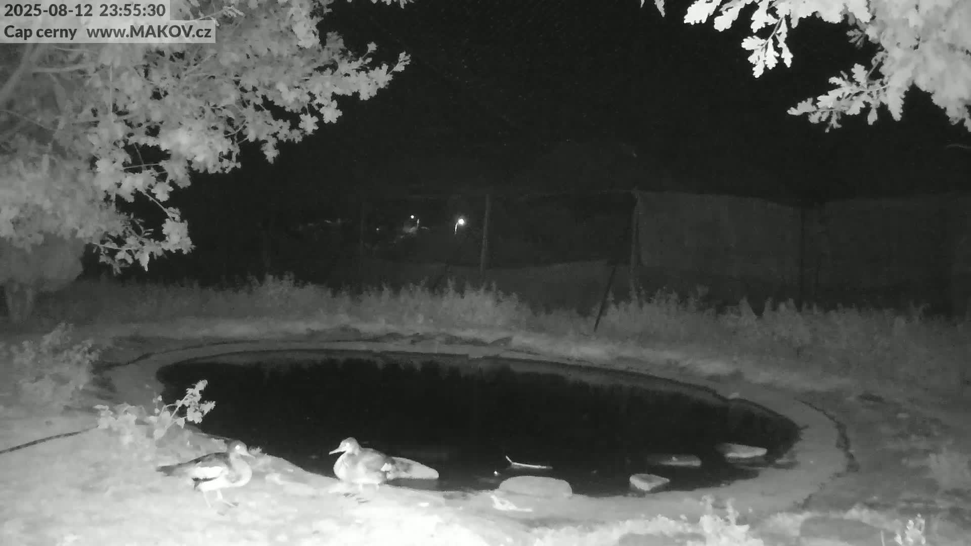 Pisek, Makov Animal Rescue Station Live Cam - Cizova, Pisek, Juhočeský Kraj (South Bohemian), Czechia