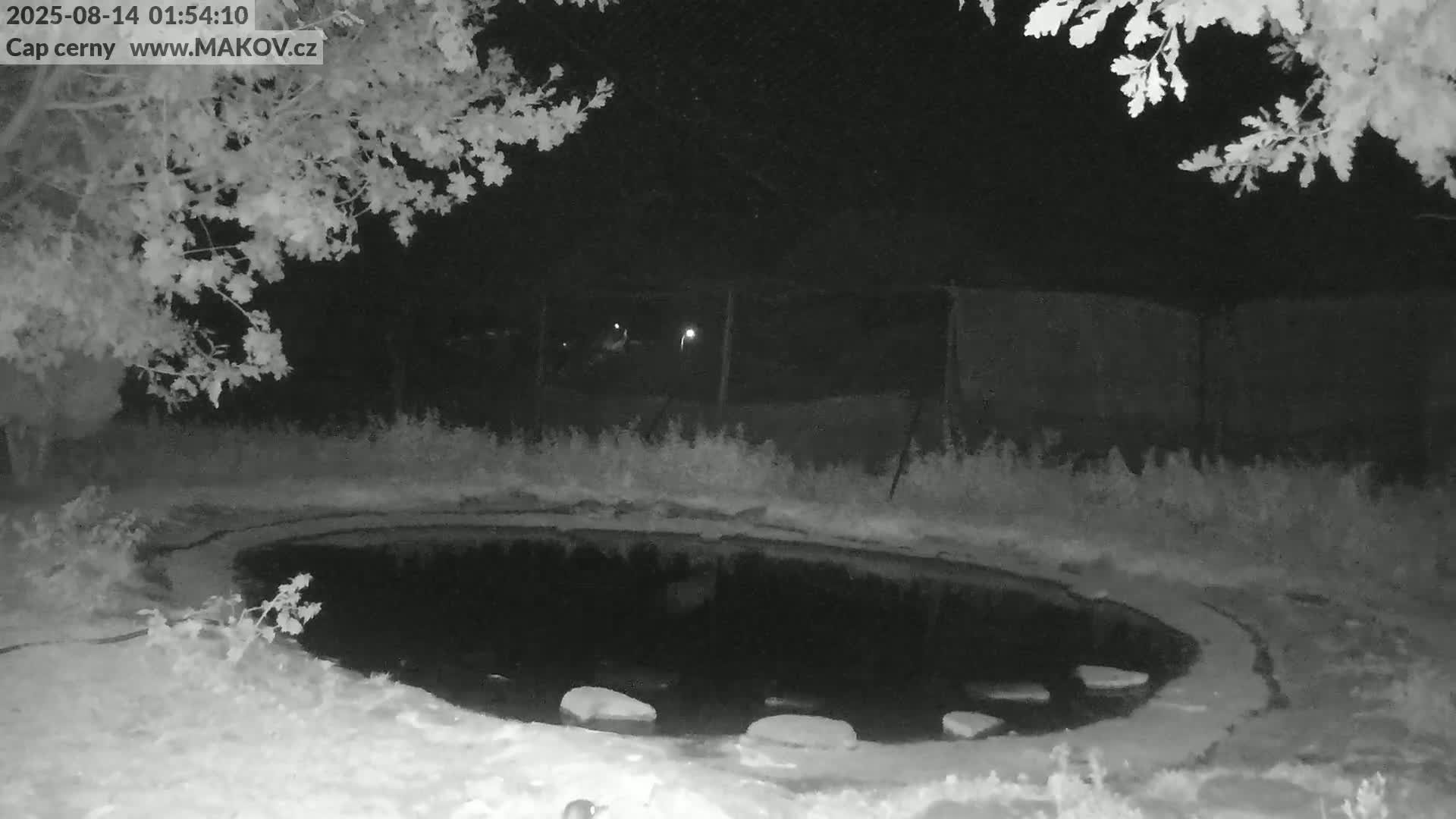 Pisek, Makov Animal Rescue Station Live Cam - Cizova, Pisek, Juhočeský Kraj (South Bohemian), Czechia