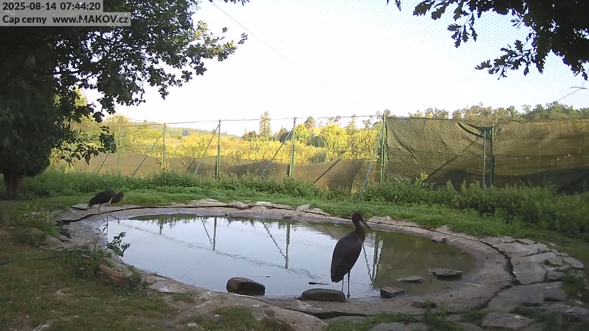 Pisek, Makov Animal Rescue Station Live Cam - Cizova, Pisek, Juhočeský Kraj (South Bohemian), Czechia