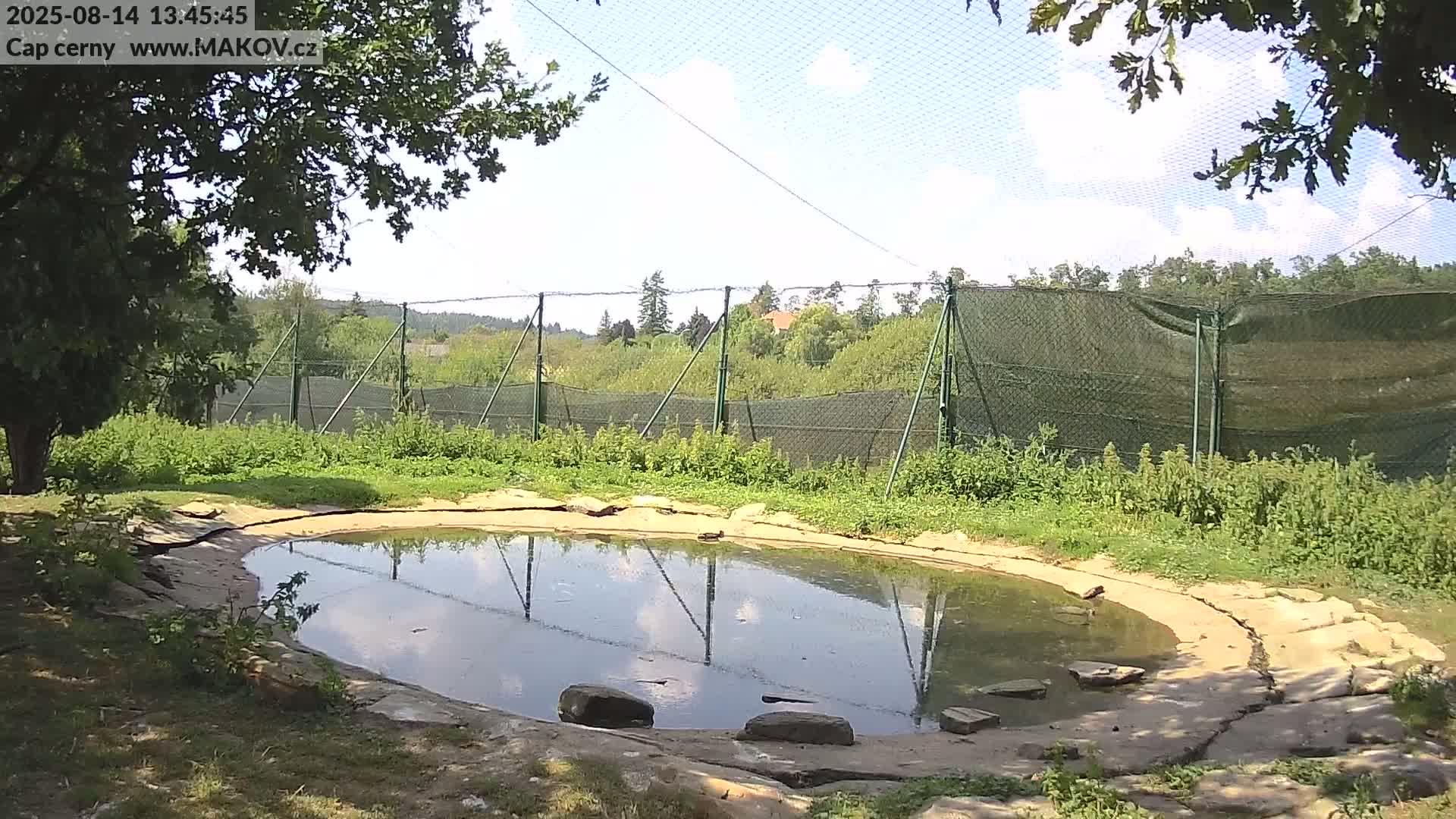 Pisek, Makov Animal Rescue Station Live Cam - Cizova, Pisek, Juhočeský Kraj (South Bohemian), Czechia