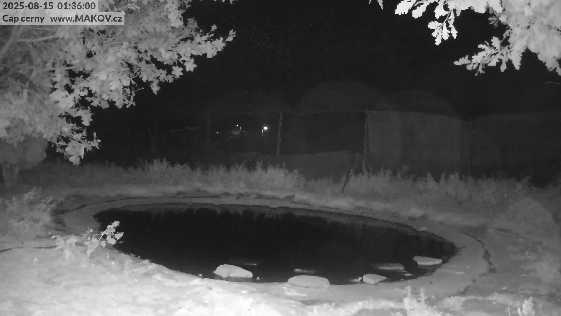 Pisek, Makov Animal Rescue Station Live Cam - Cizova, Pisek, Juhočeský Kraj (South Bohemian), Czechia