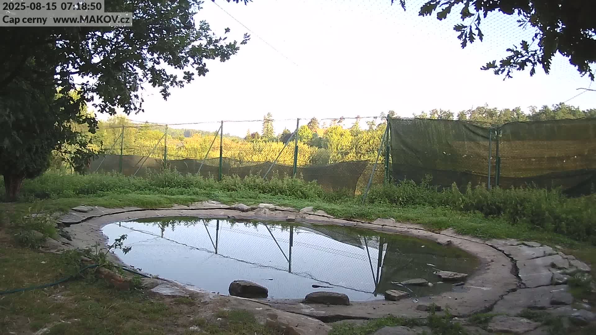 Pisek, Makov Animal Rescue Station Live Cam - Cizova, Pisek, Juhočeský Kraj (South Bohemian), Czechia