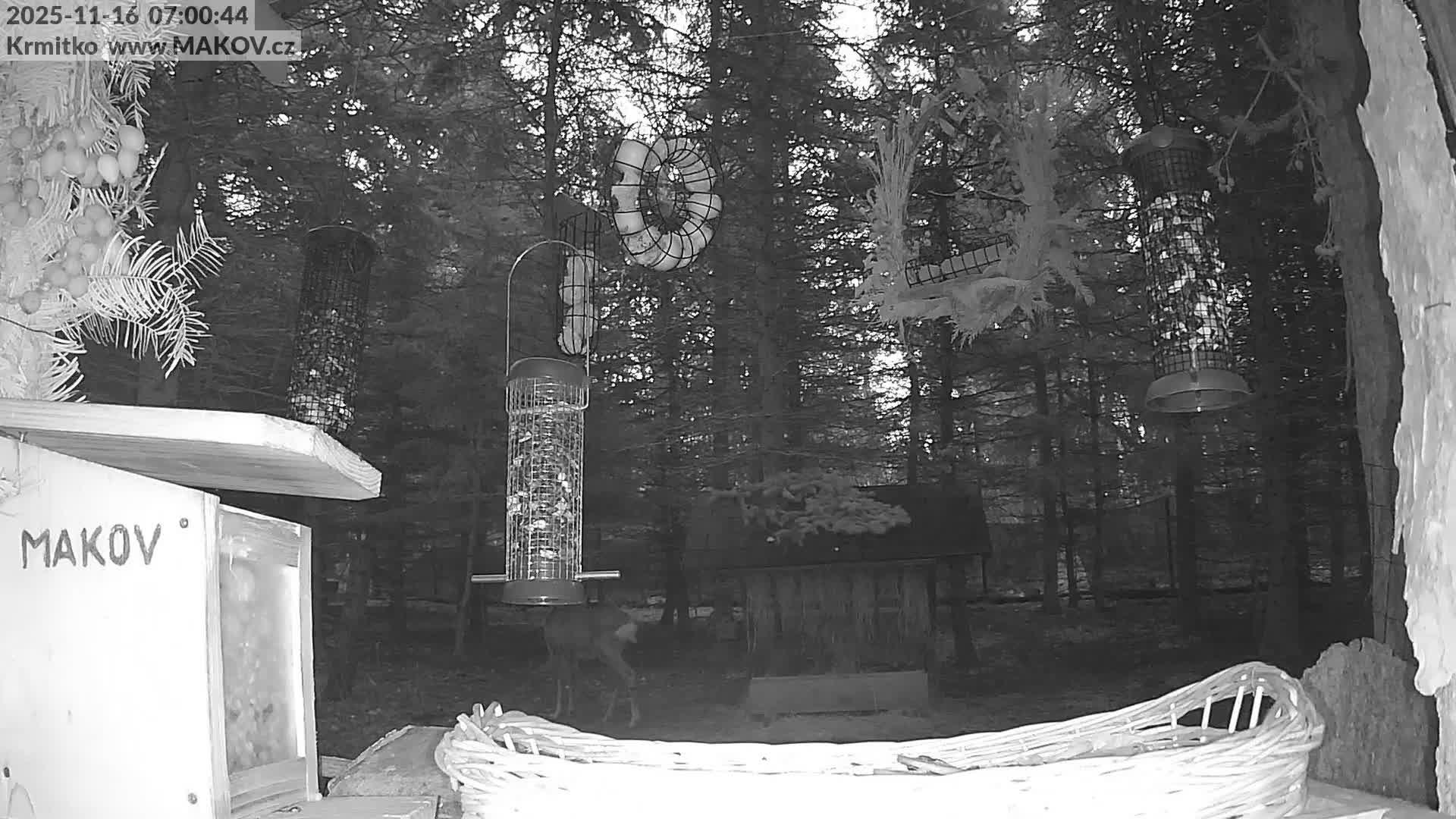 Pisek, Makov Animal Rescue Station Live Cam - Cizova, Pisek, Juhočeský Kraj (South Bohemian), Czechia