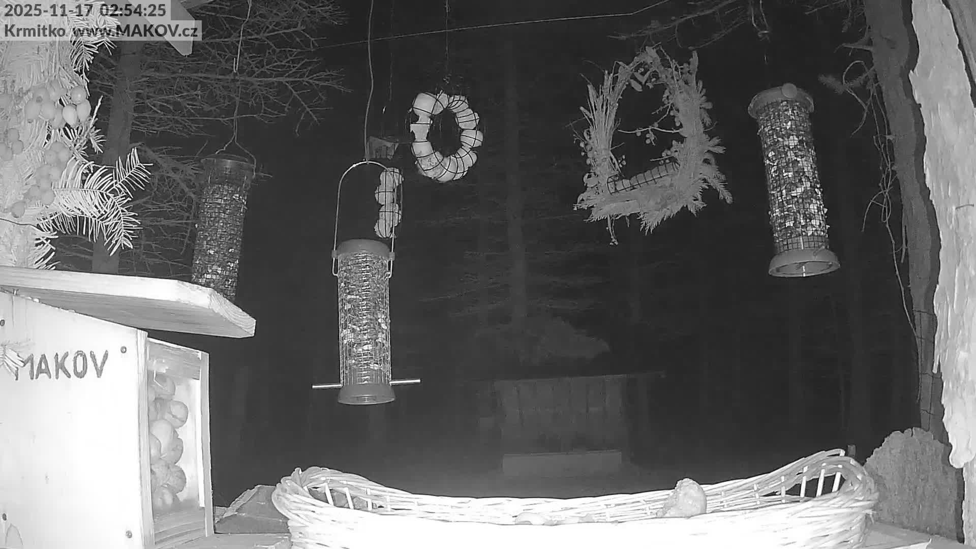 Pisek, Makov Animal Rescue Station Live Cam - Cizova, Pisek, Juhočeský Kraj (South Bohemian), Czechia