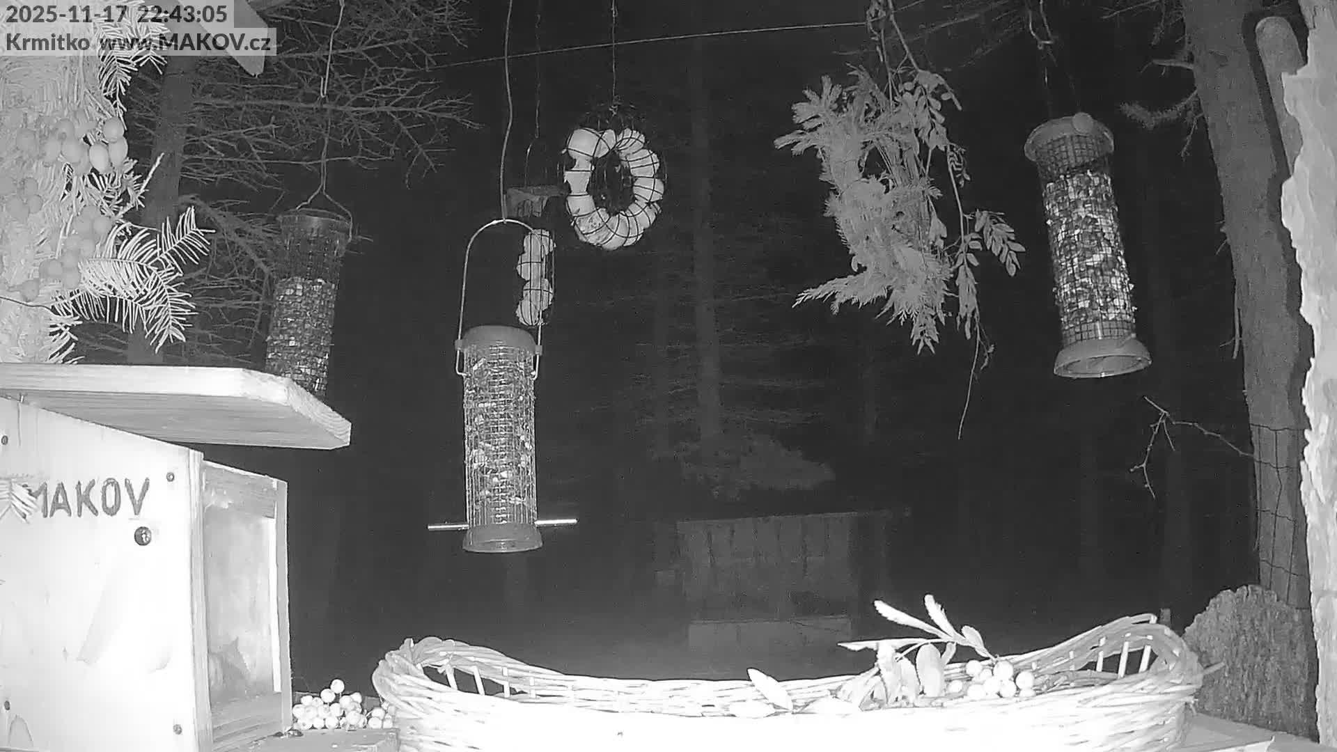 Pisek, Makov Animal Rescue Station Live Cam - Cizova, Pisek, Juhočeský Kraj (South Bohemian), Czechia