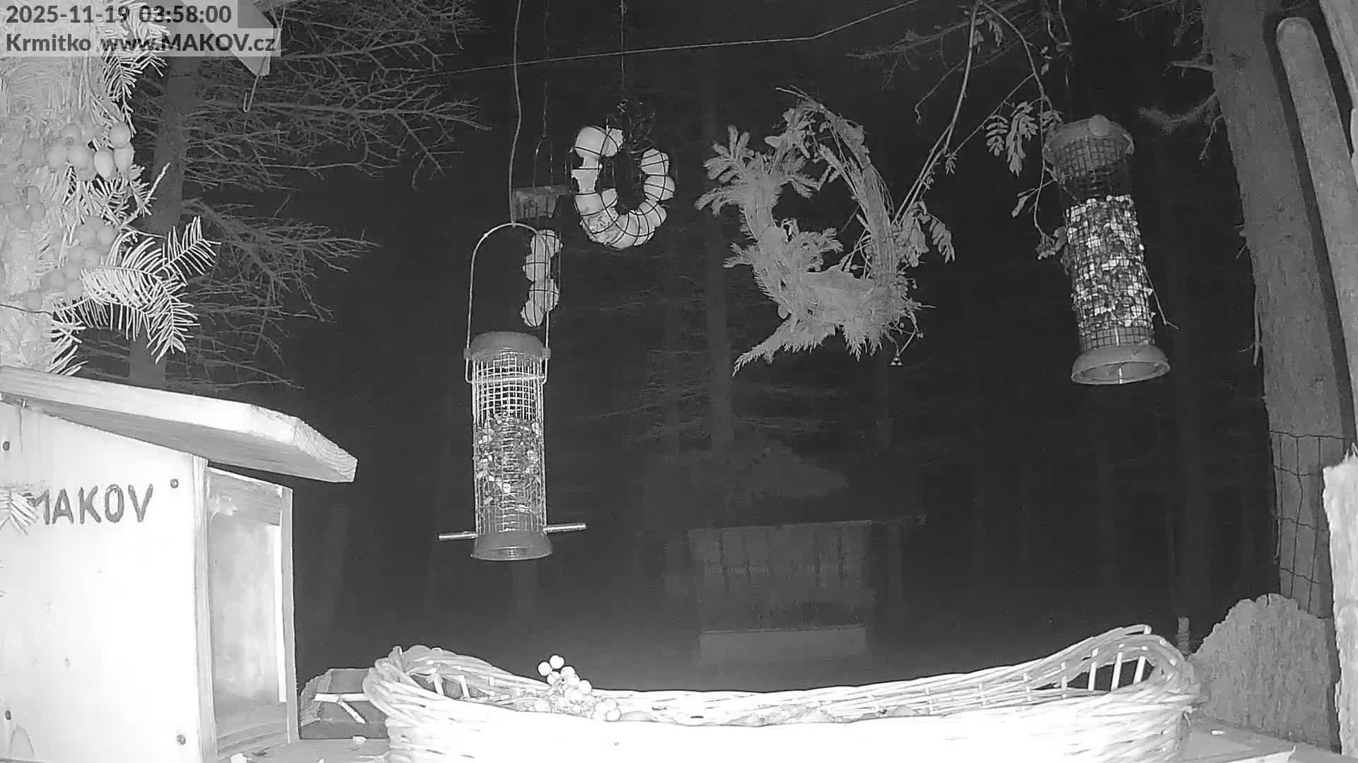 Pisek, Makov Animal Rescue Station Live Cam - Cizova, Pisek, Juhočeský Kraj (South Bohemian), Czechia