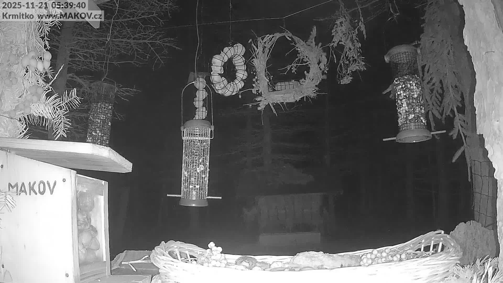 Pisek, Makov Animal Rescue Station Live Cam - Cizova, Pisek, Juhočeský Kraj (South Bohemian), Czechia