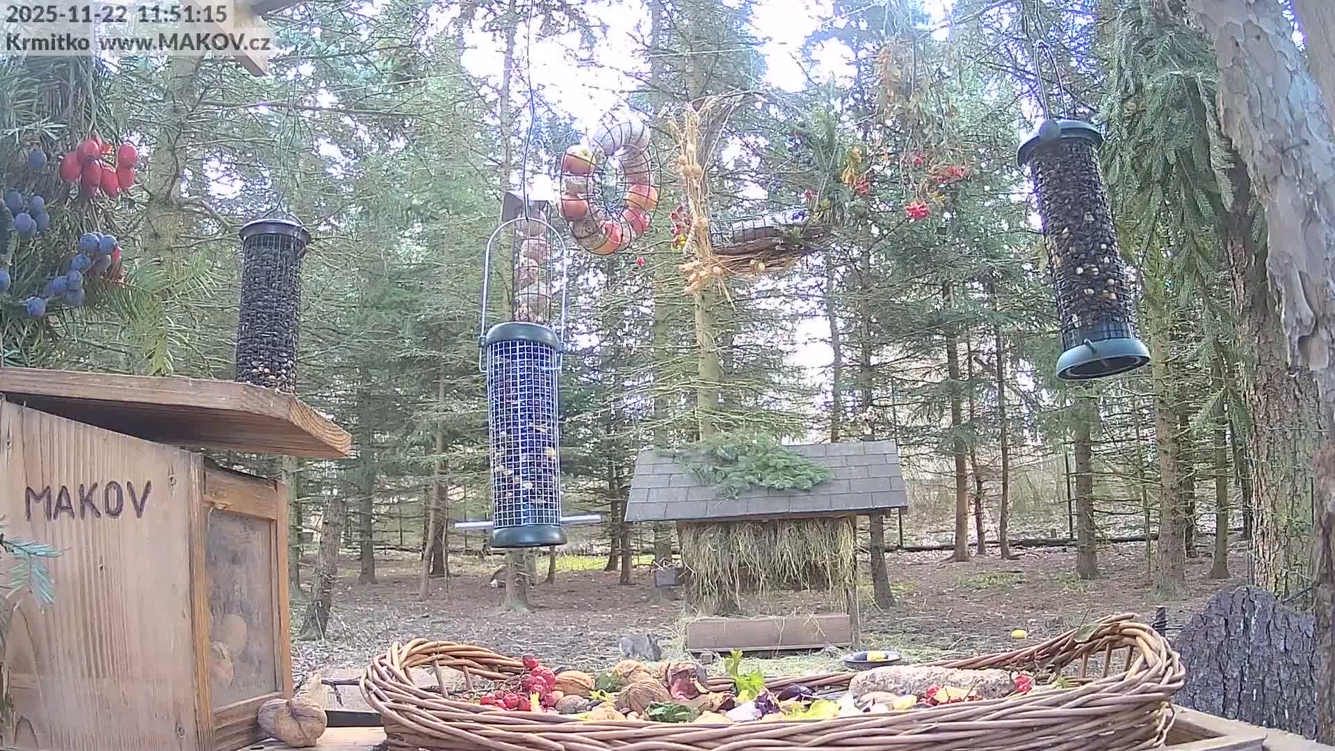 Pisek, Makov Animal Rescue Station Live Cam - Cizova, Pisek, Juhočeský Kraj (South Bohemian), Czechia