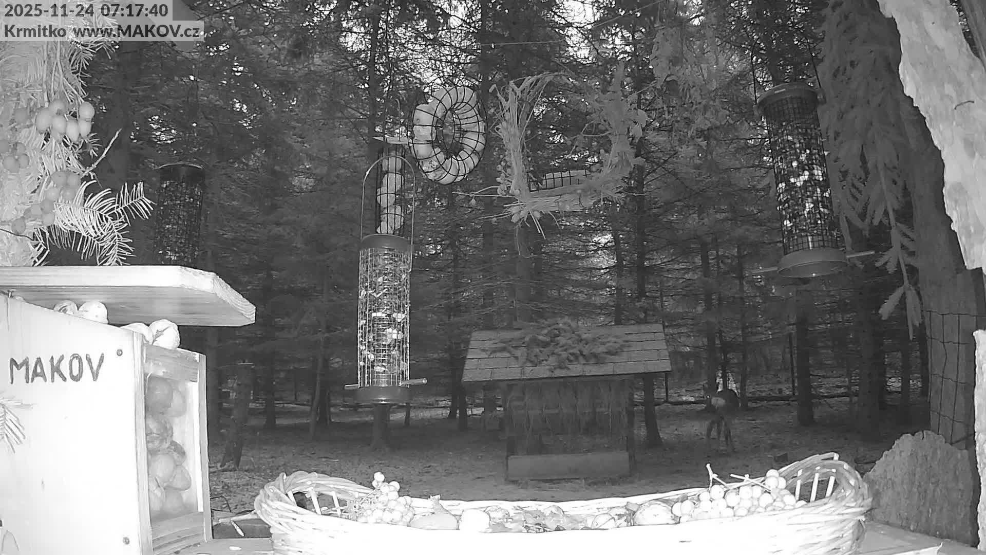 Pisek, Makov Animal Rescue Station Live Cam - Cizova, Pisek, Juhočeský Kraj (South Bohemian), Czechia