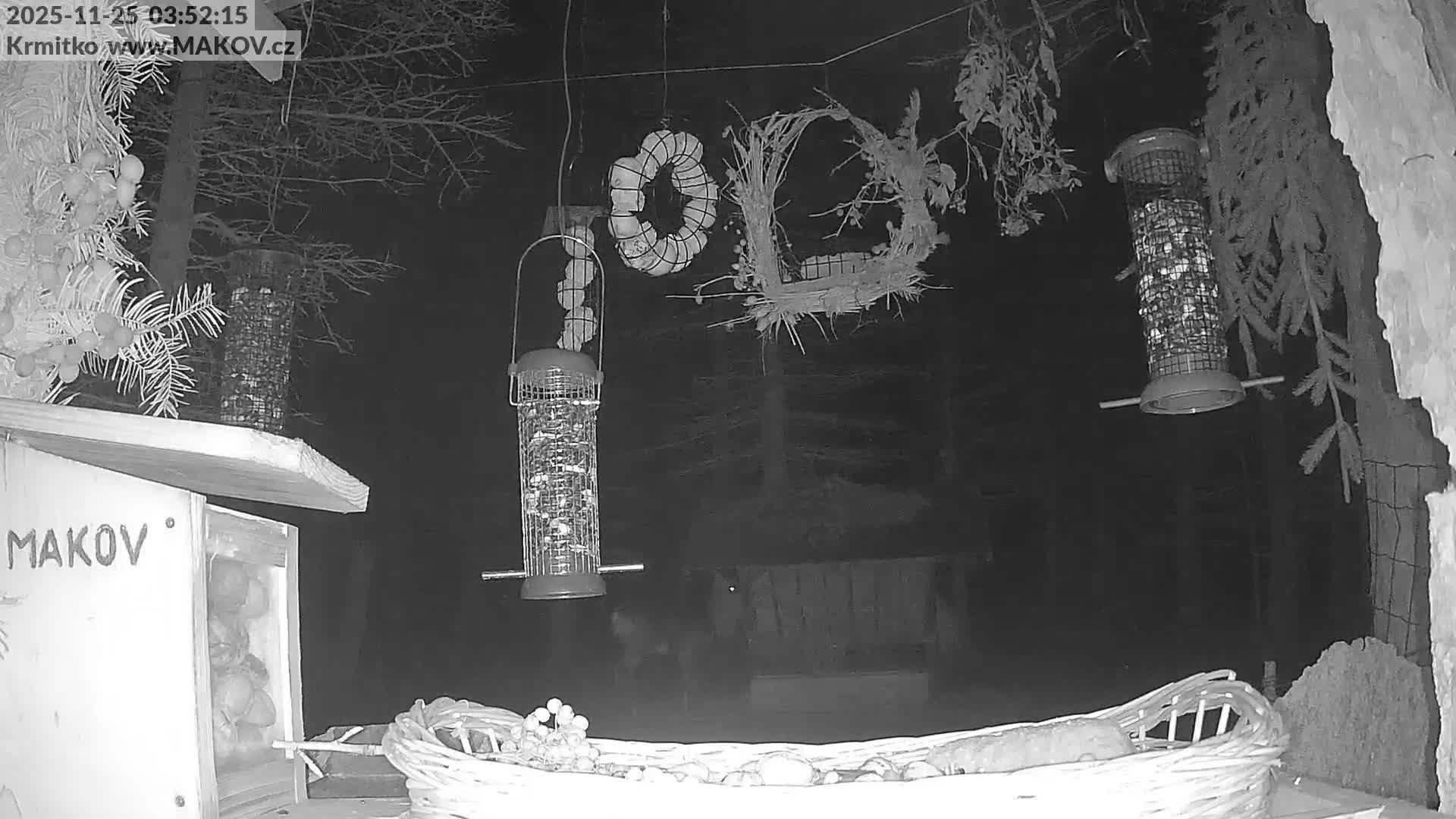 Pisek, Makov Animal Rescue Station Live Cam - Cizova, Pisek, Juhočeský Kraj (South Bohemian), Czechia