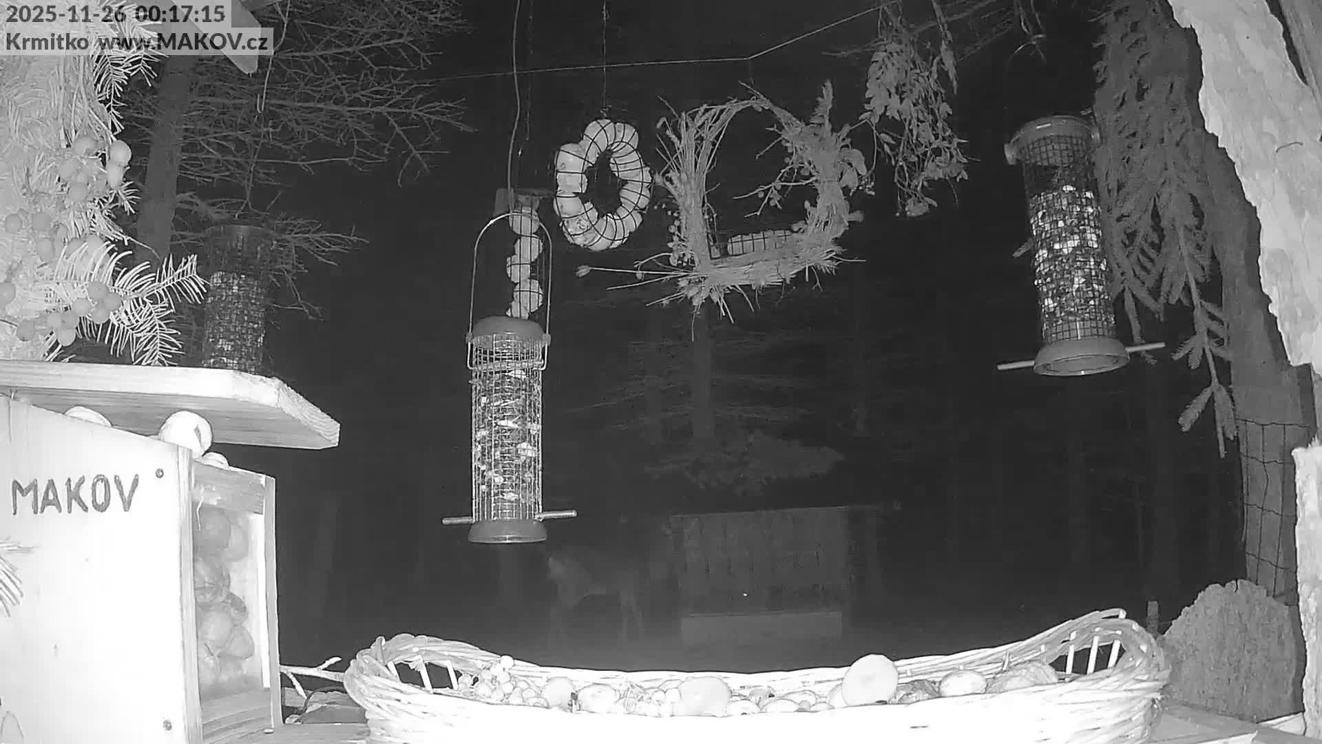 Pisek, Makov Animal Rescue Station Live Cam - Cizova, Pisek, Juhočeský Kraj (South Bohemian), Czechia