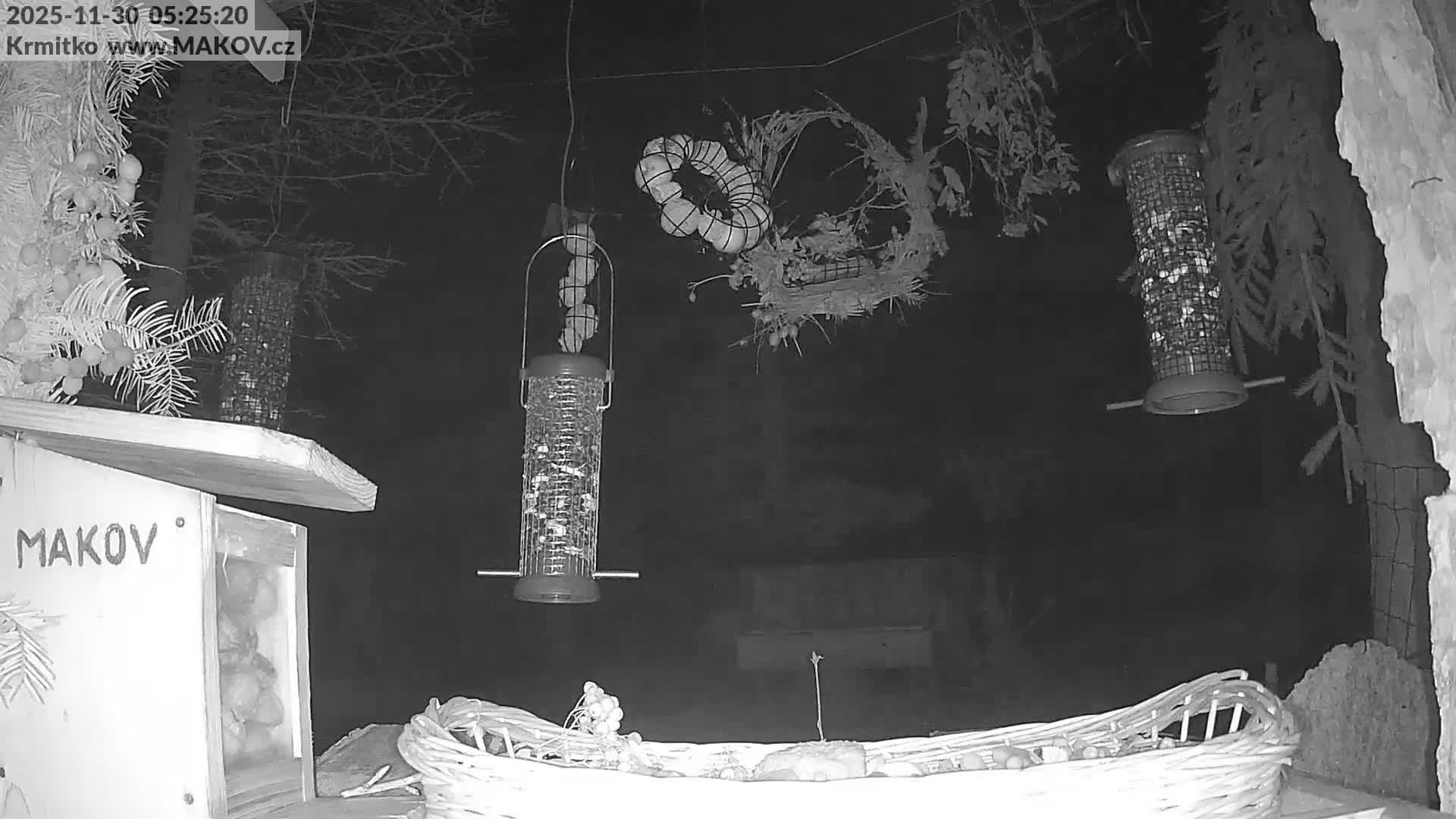 A grayscale nighttime image depicts an outdoor feeding station for wildlife, featuring several hanging bird feeders filled with seeds and suet, a wooden box offering nuts, and a ground-level woven basket holding fruits, all arranged among evergreen branches under clear skies.