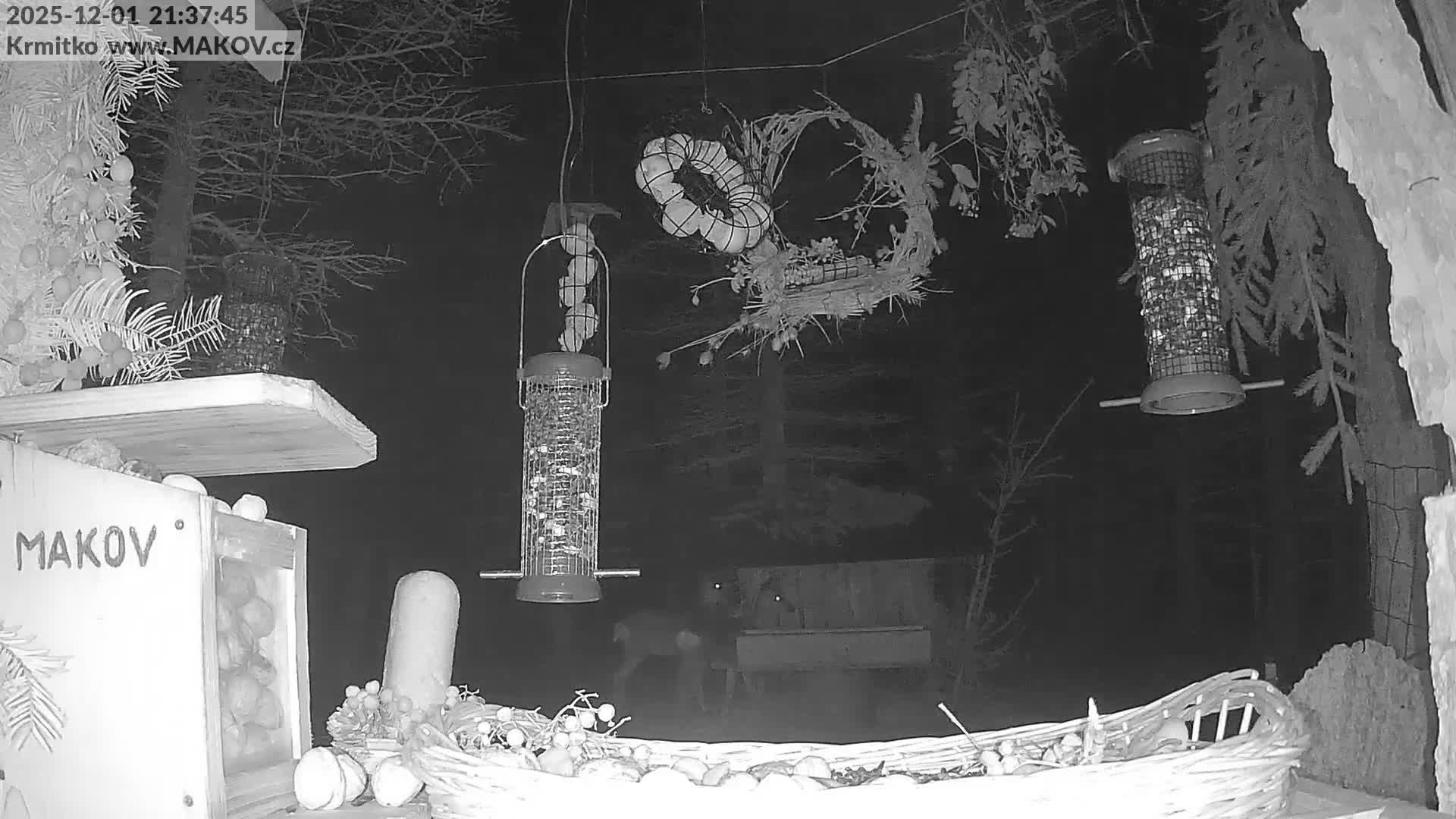 Pisek, Makov Animal Rescue Station Live Cam - Cizova, Pisek, Juhočeský Kraj (South Bohemian), Czechia