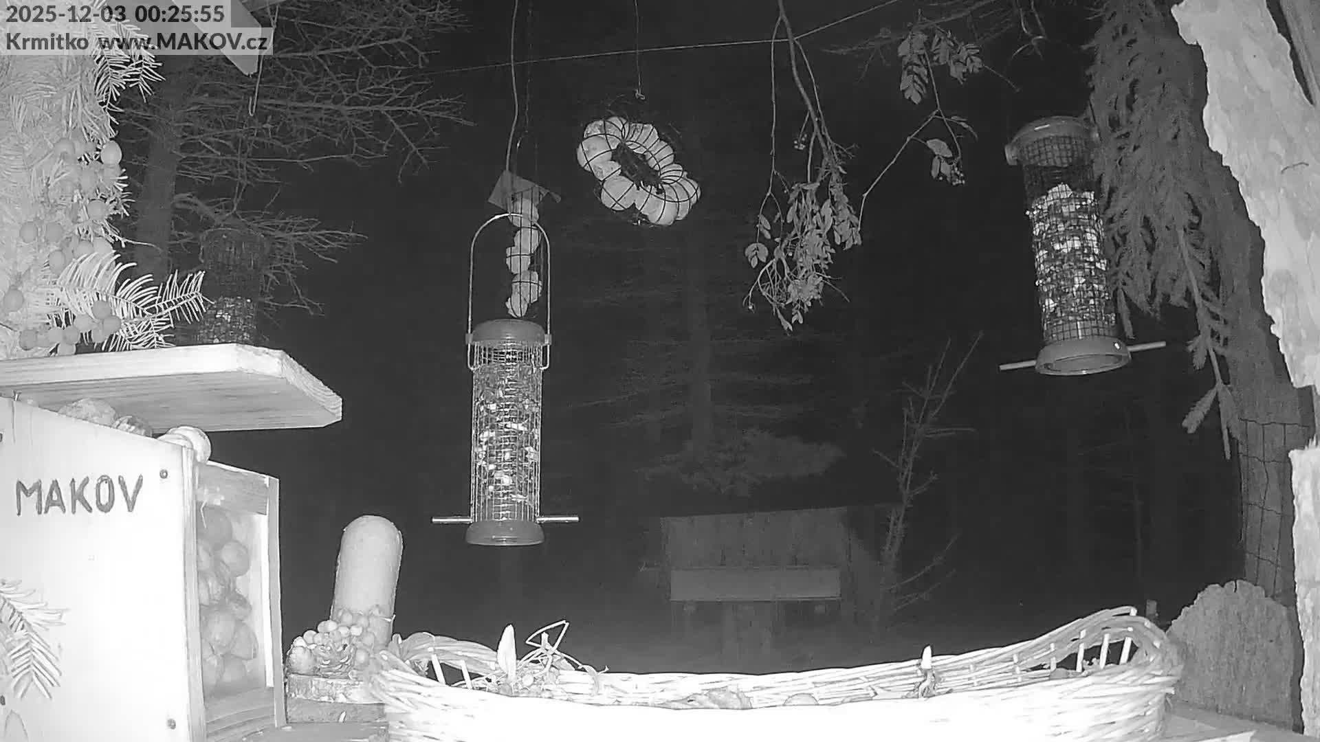 Pisek, Makov Animal Rescue Station Live Cam - Cizova, Pisek, Juhočeský Kraj (South Bohemian), Czechia