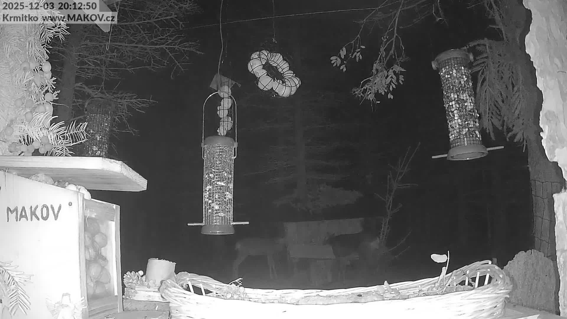 Pisek, Makov Animal Rescue Station Live Cam - Cizova, Pisek, Juhočeský Kraj (South Bohemian), Czechia