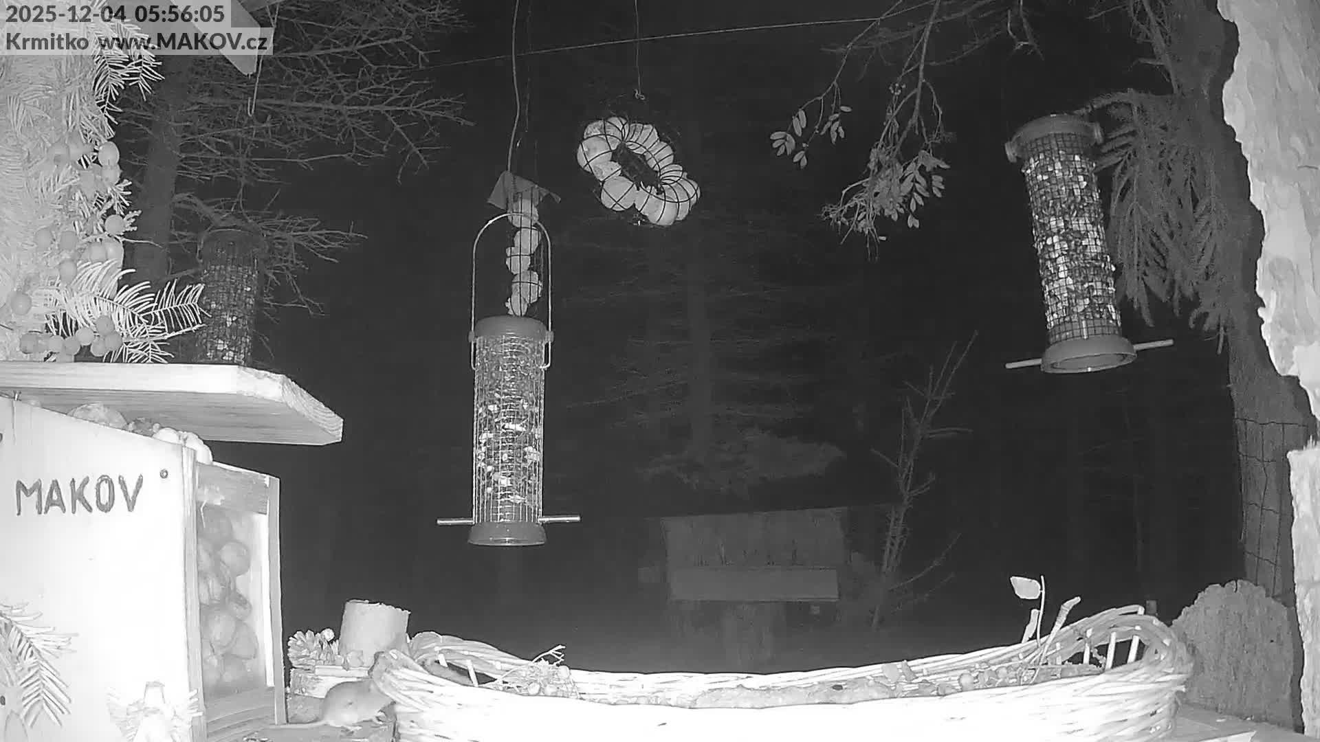 Pisek, Makov Animal Rescue Station Live Cam - Cizova, Pisek, Juhočeský Kraj (South Bohemian), Czechia