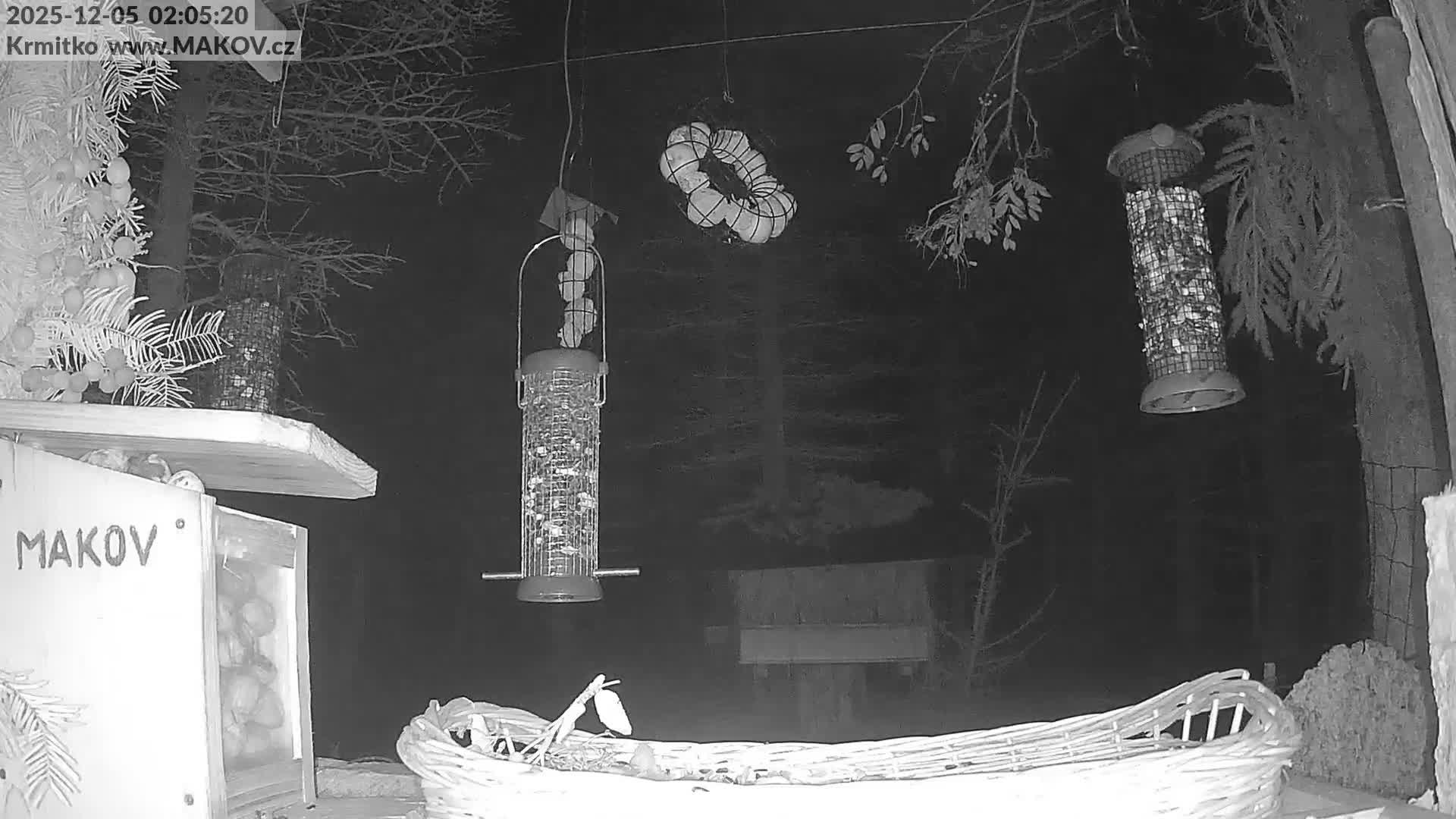 Pisek, Makov Animal Rescue Station Live Cam - Cizova, Pisek, Juhočeský Kraj (South Bohemian), Czechia